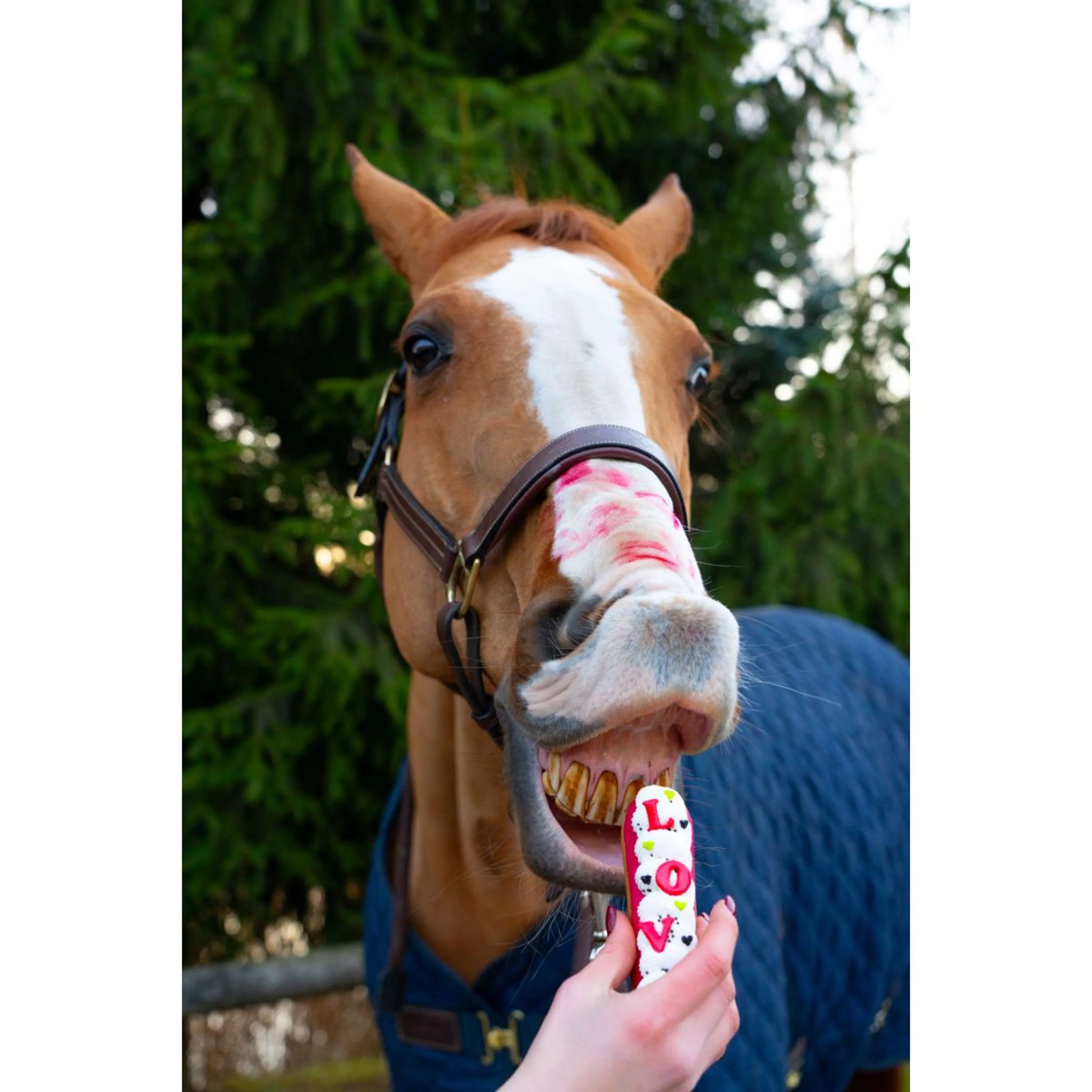 Candy Horse Love Biscotti Eclair Icing - Image 2