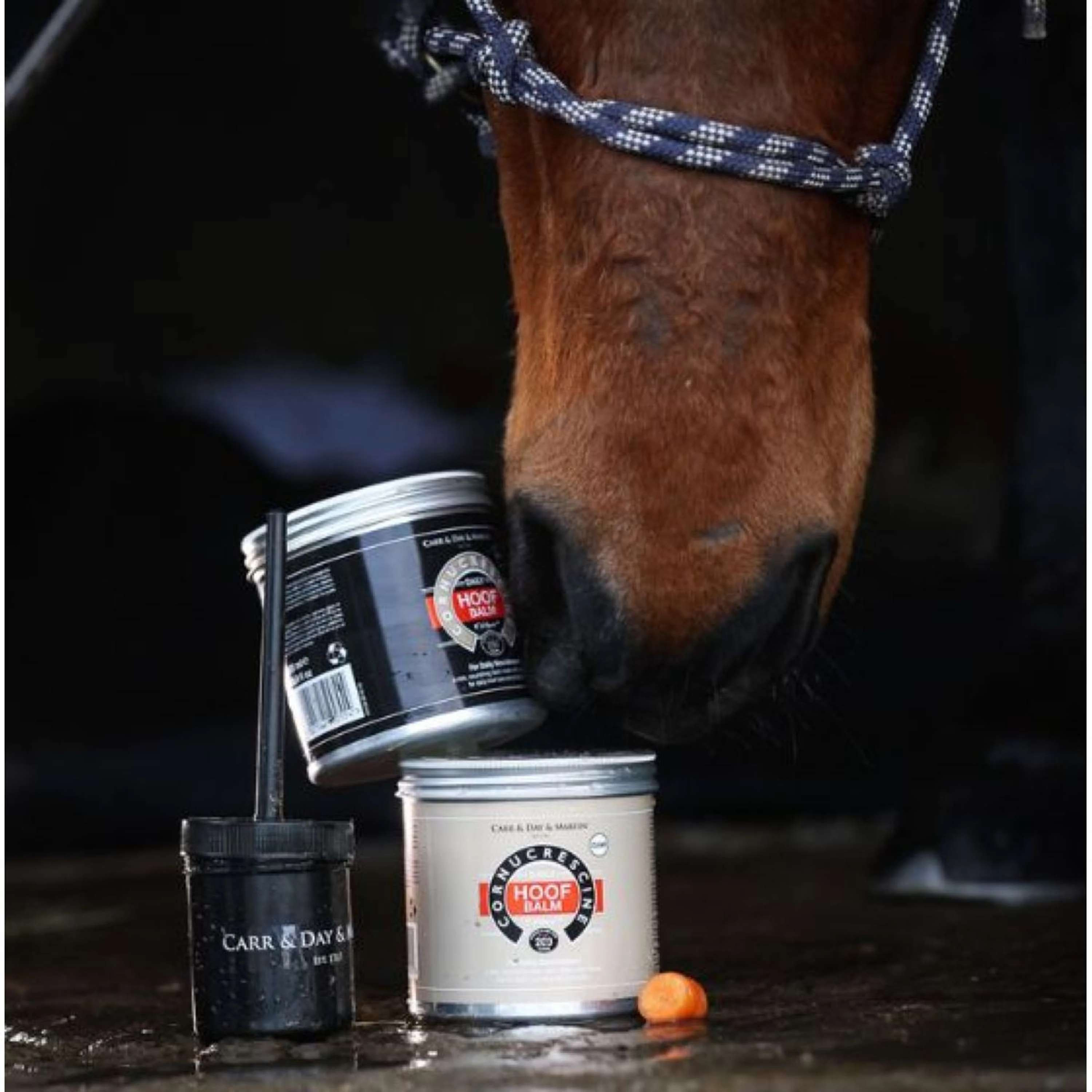 Carr & Day & Martin Cornucrescine Hoof Balm Black - Image 3
