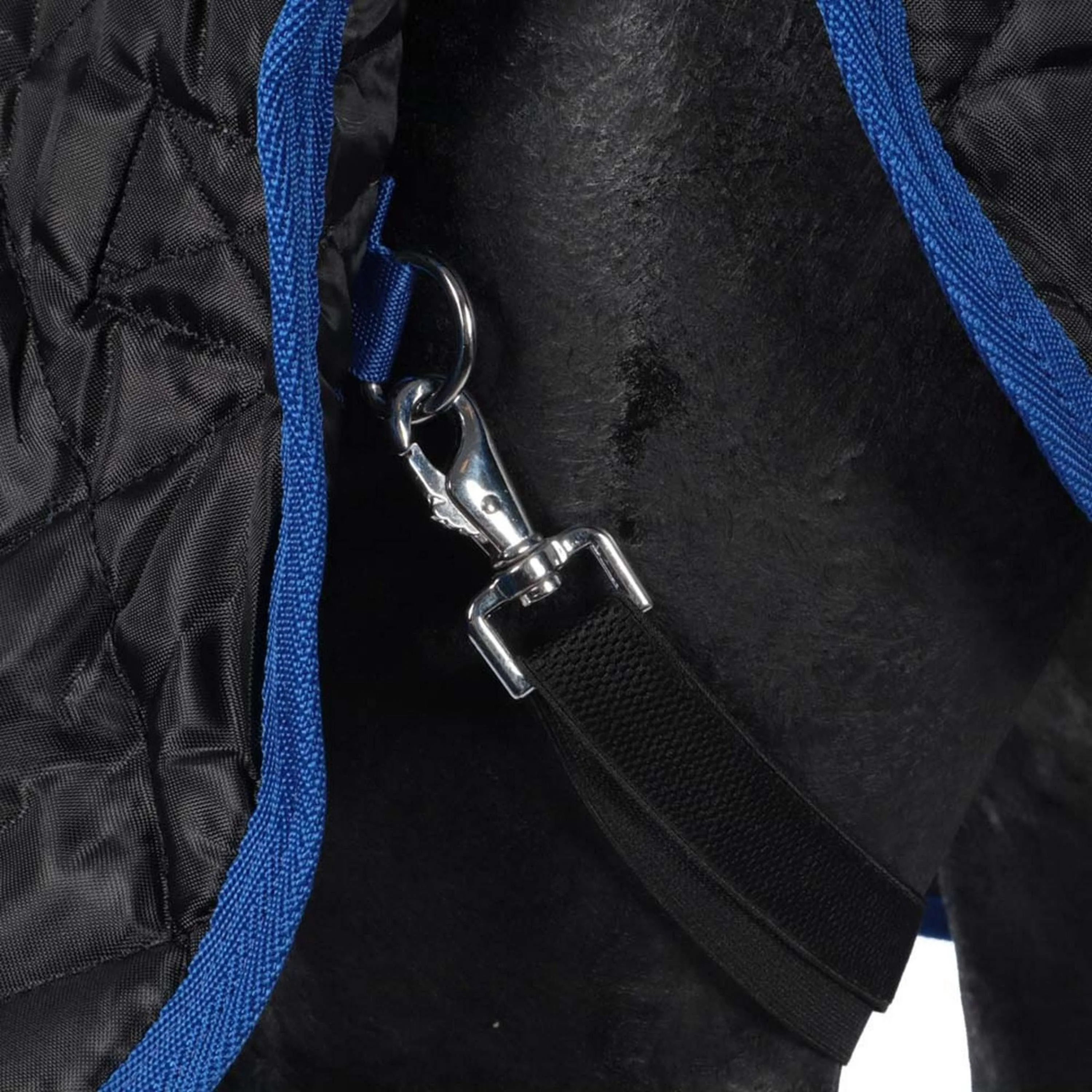 Catago Coperta da scuderia 300g Nero/Blu - Image 7