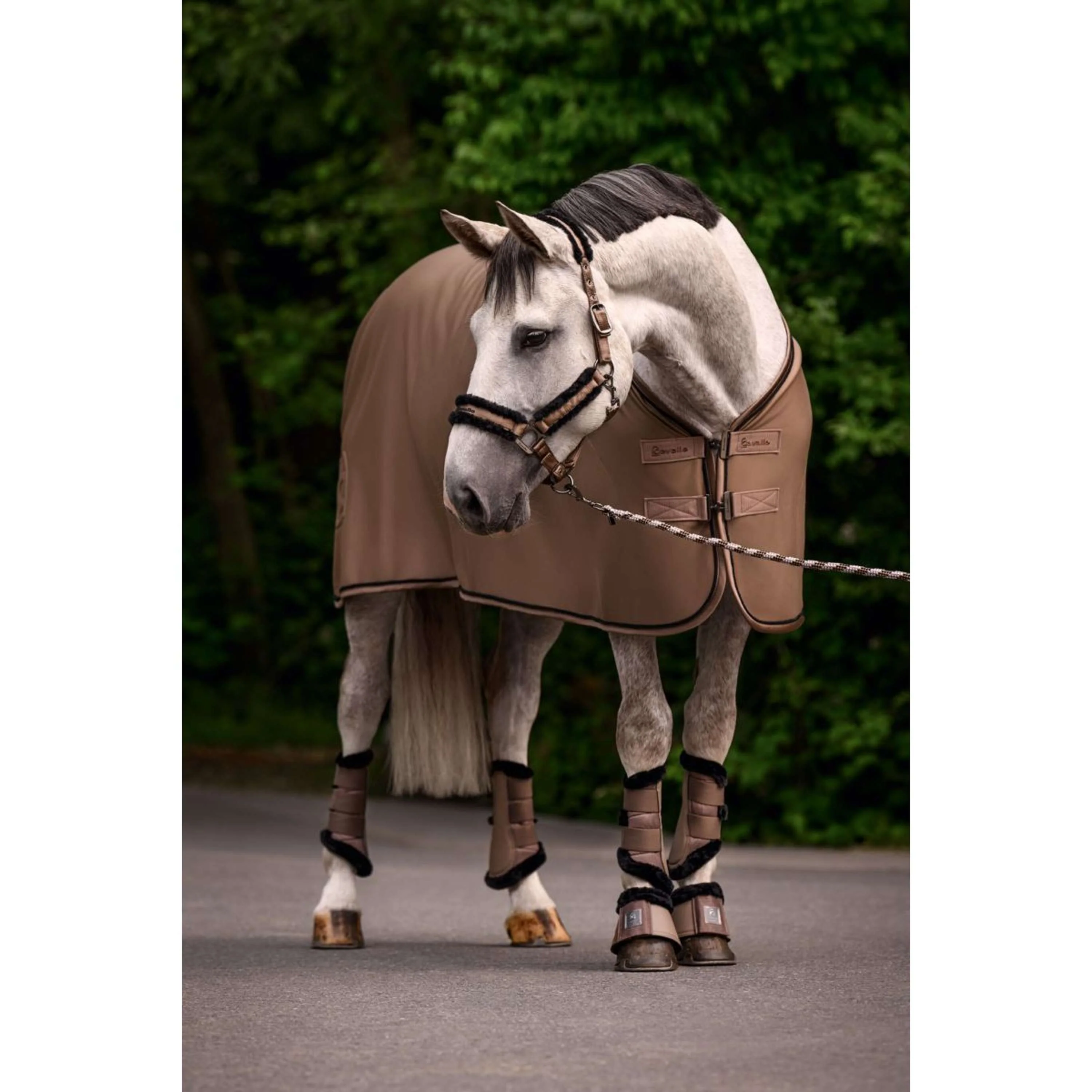 Cavallo Cavezza CavalJero Mocha Latte - Image 2