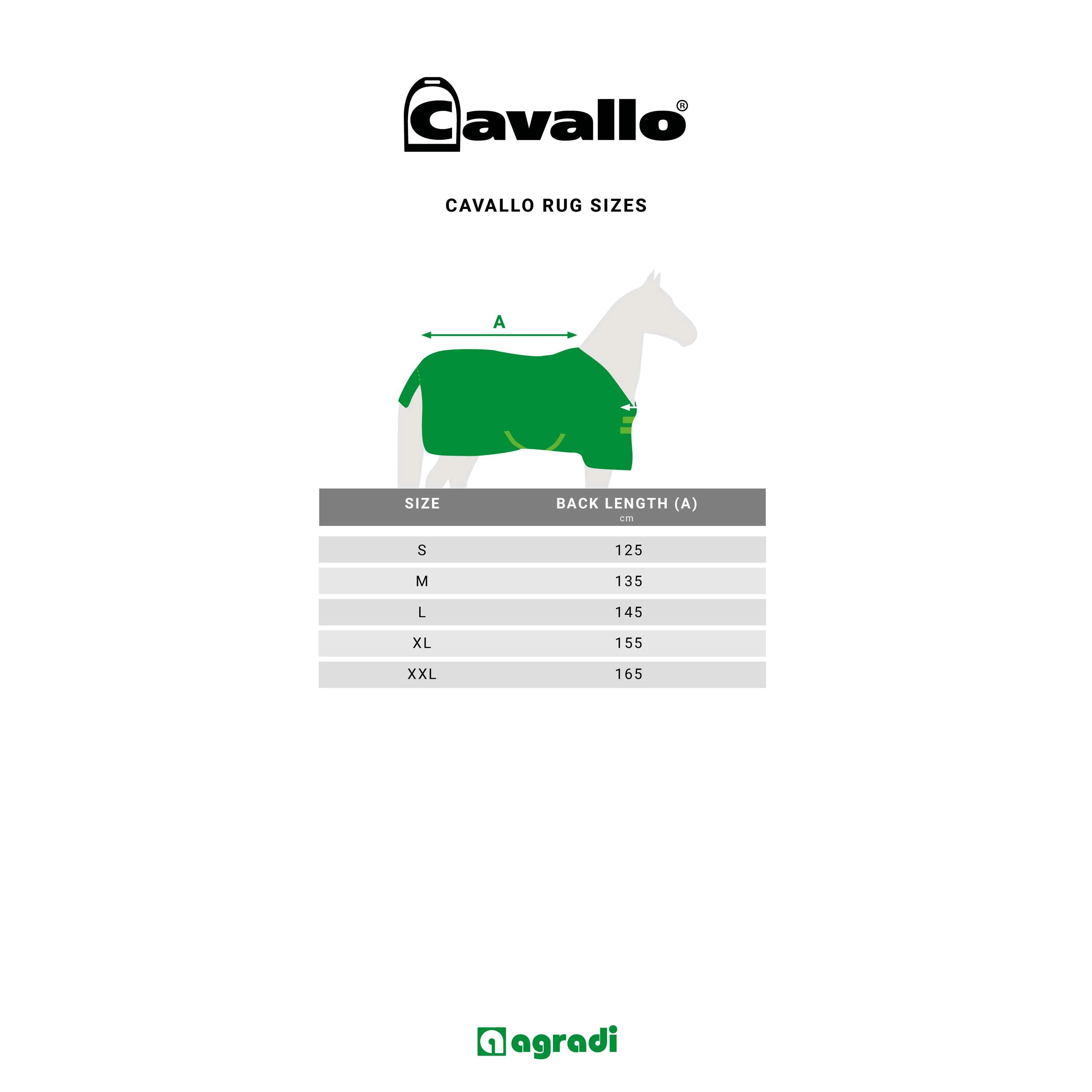 Cavallo Coperta in Pile CavalQuick Dry Cooler Soft Aqua - Image 3