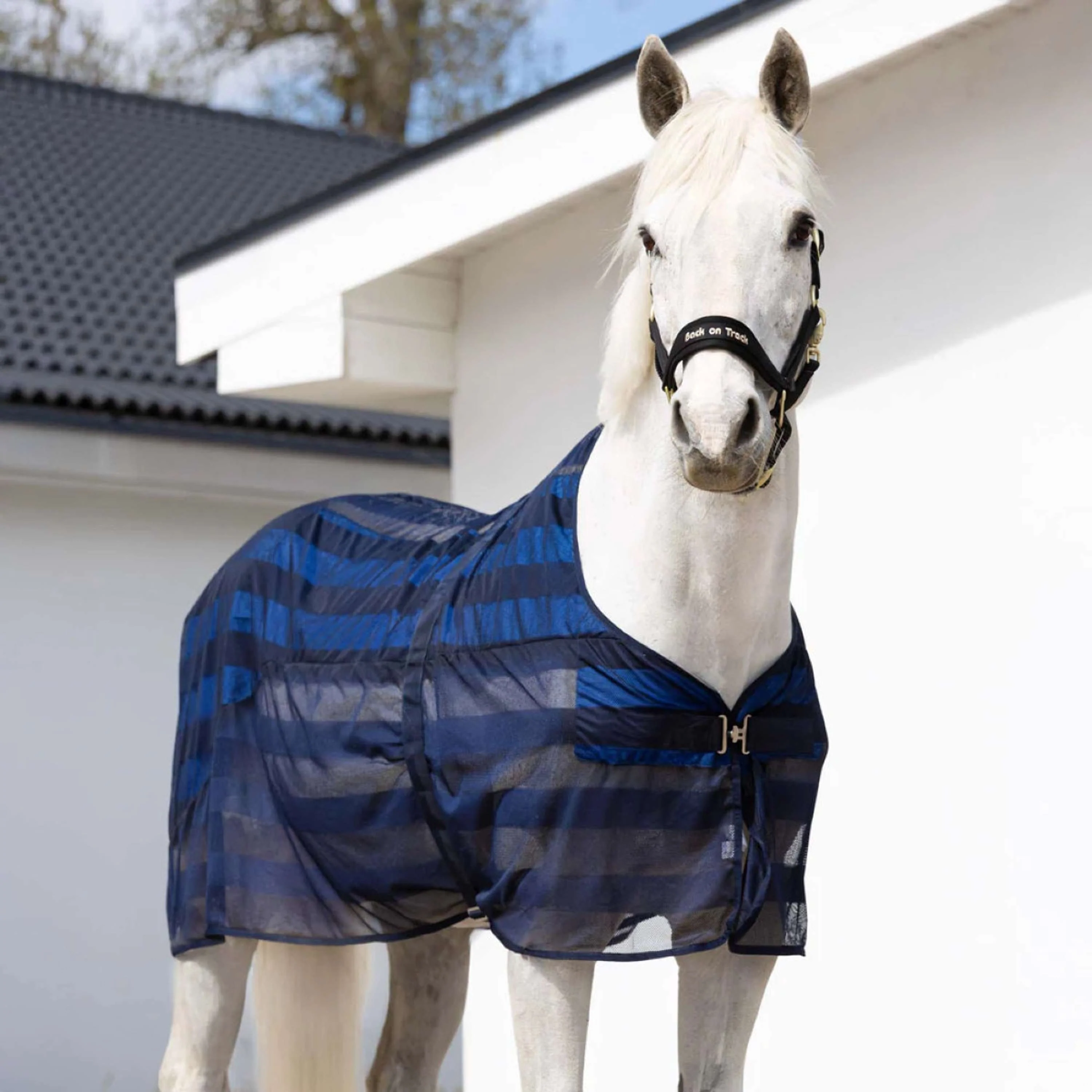 Cool on Track Coperta a Rete Blu - Image 2