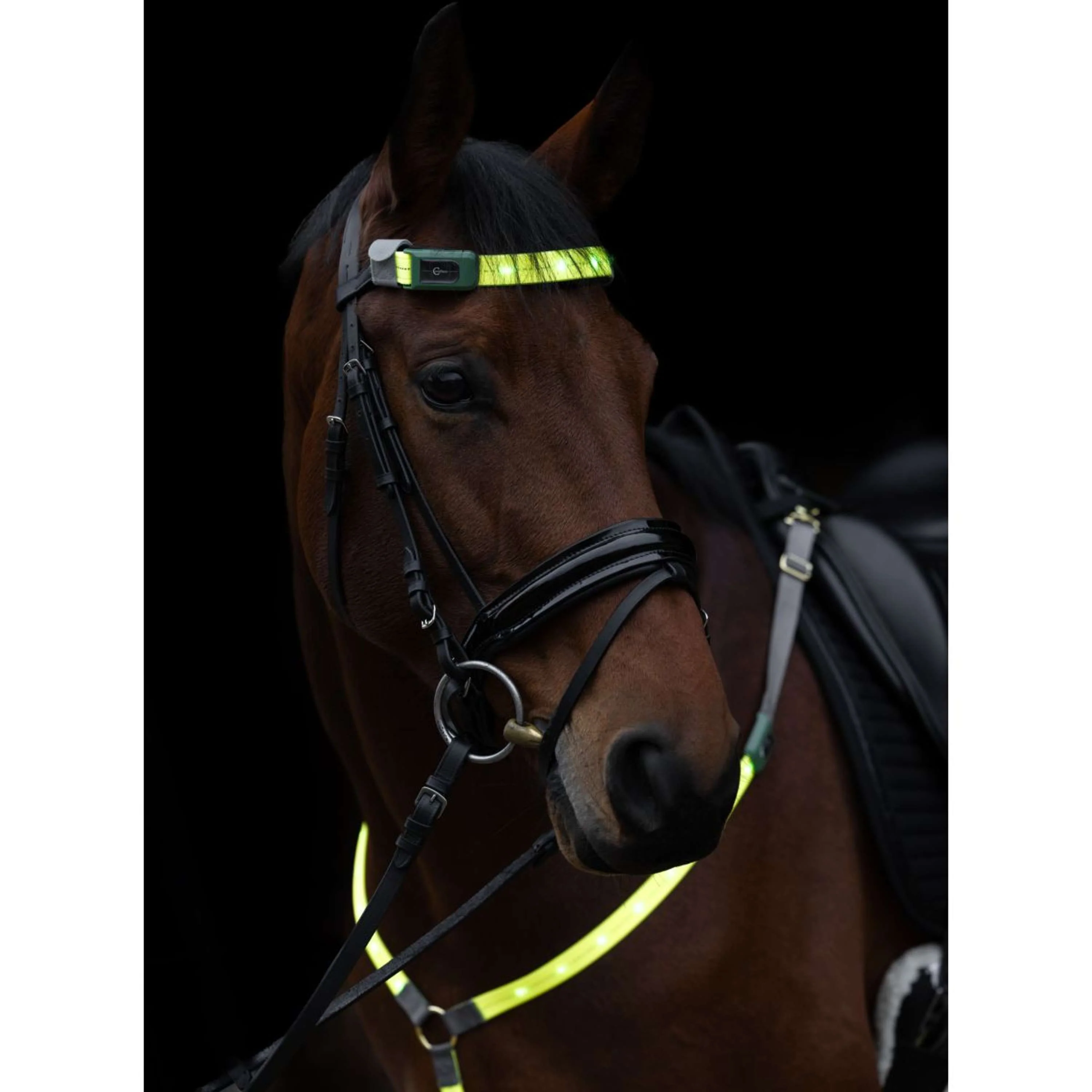 Covalliero Frontalino Led Riflessione - Image 3