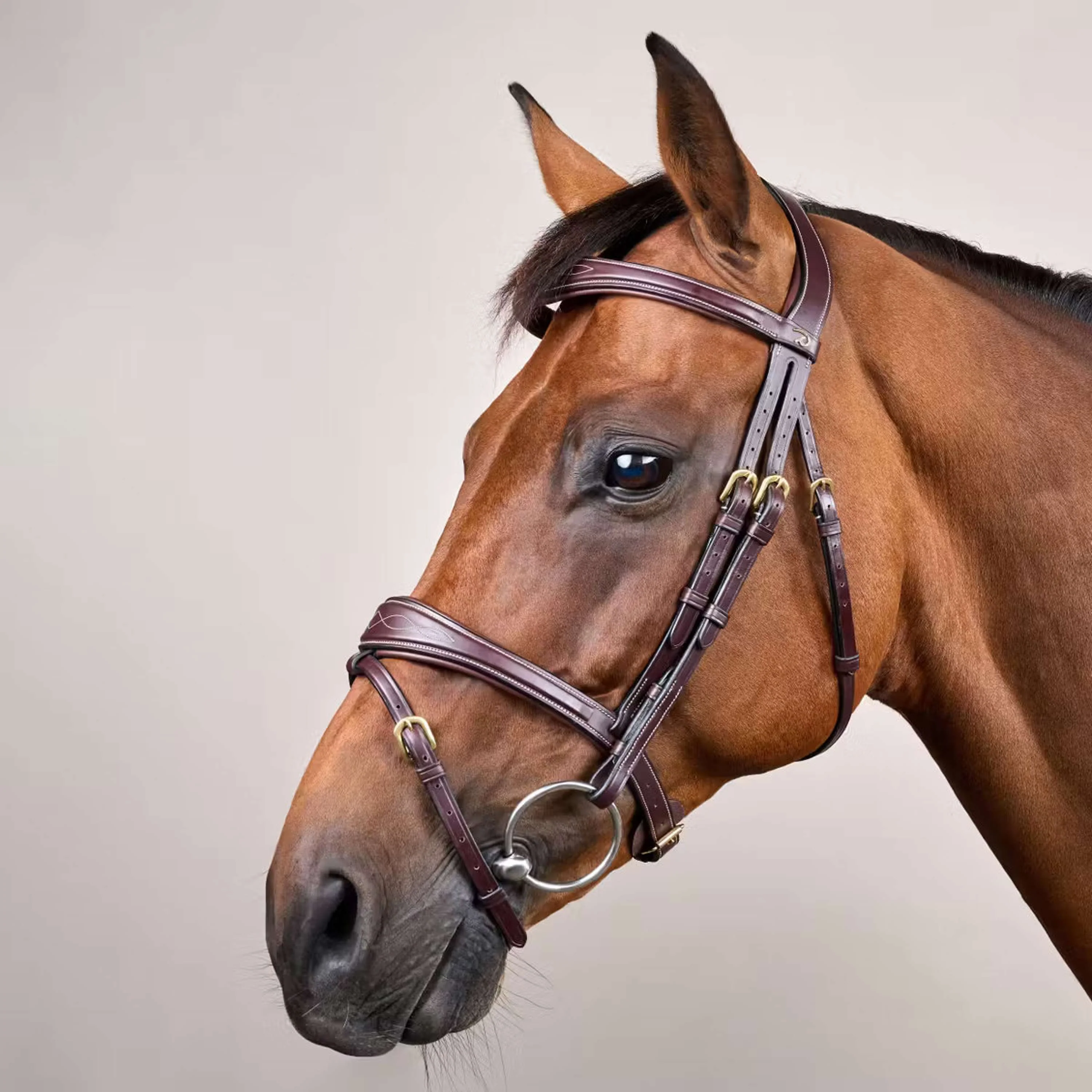 Dyon Briglia Anatomic Flash Marrone - Image 2