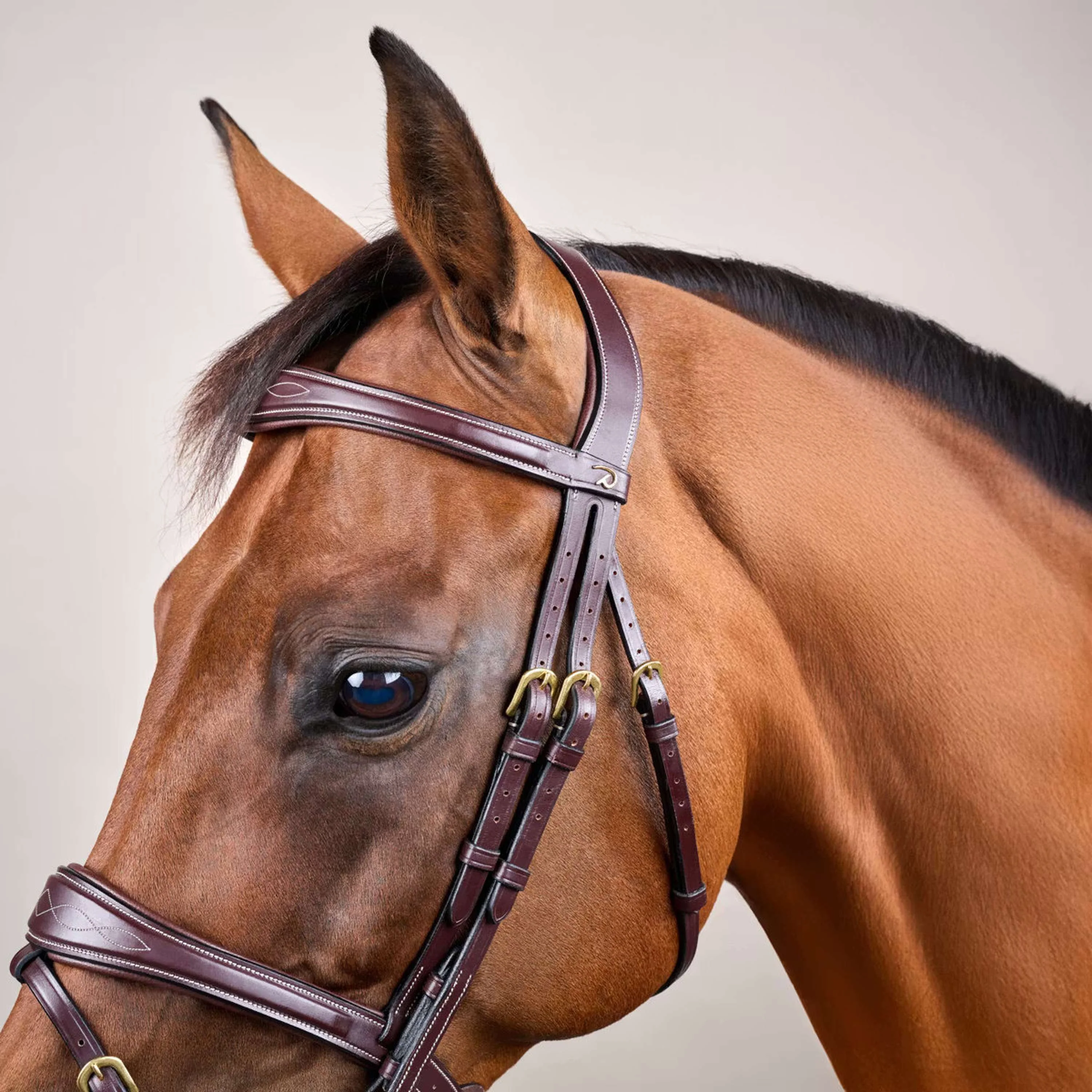 Dyon Briglia Anatomic Flash Marrone - Image 4