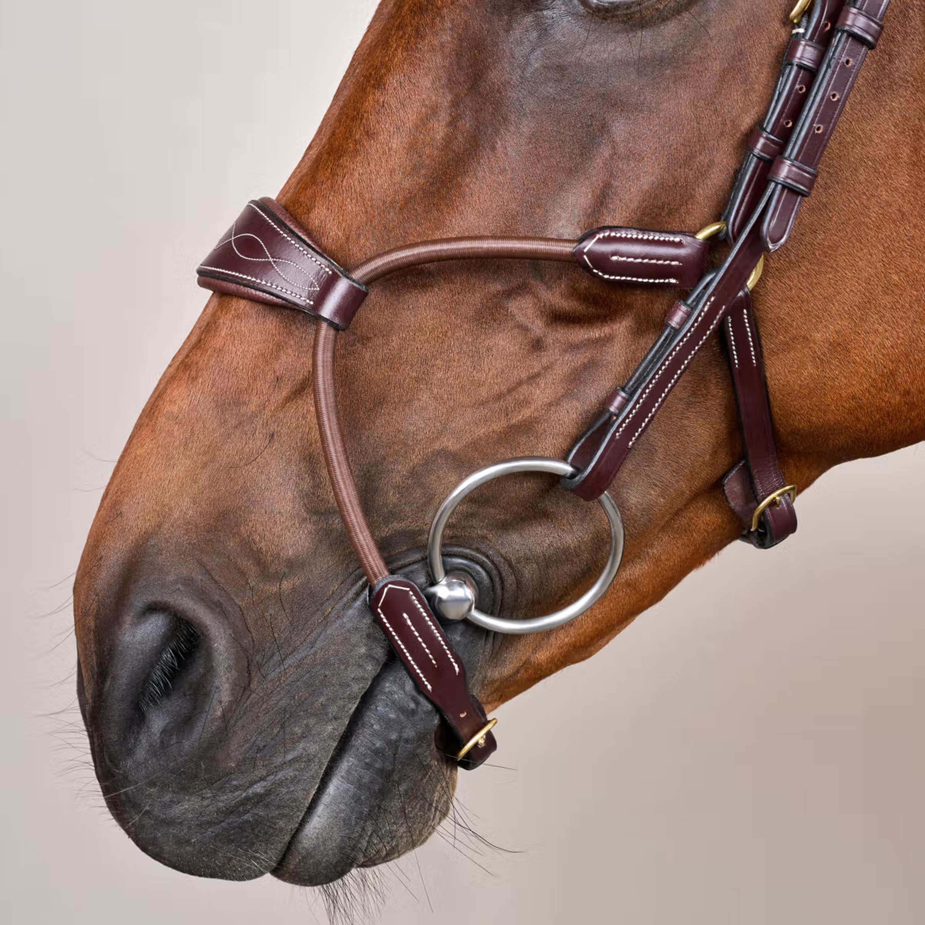 Dyon Briglia Elastic Hybrid Marrone - Image 3