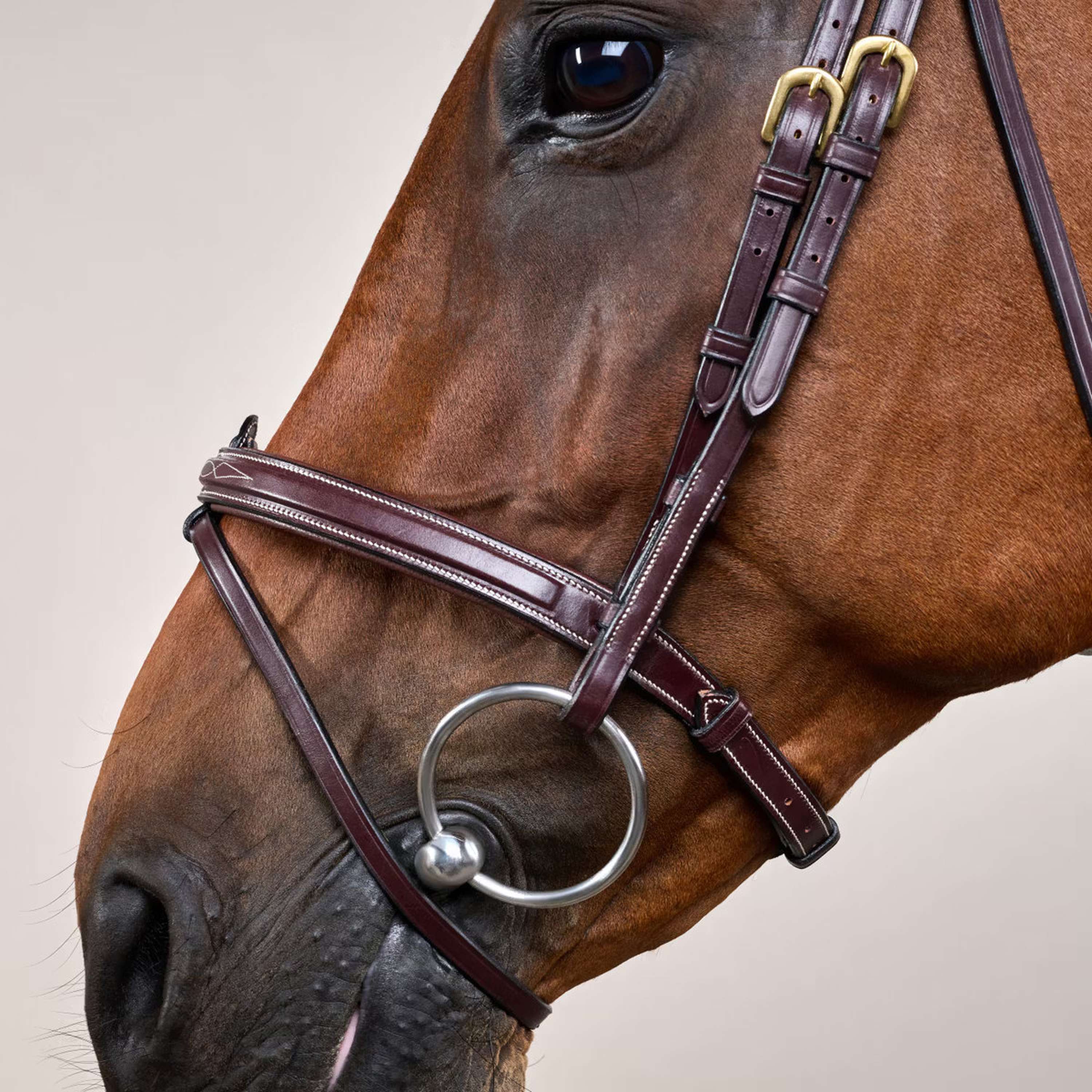 Dyon Briglia Flash Marrone - Image 3