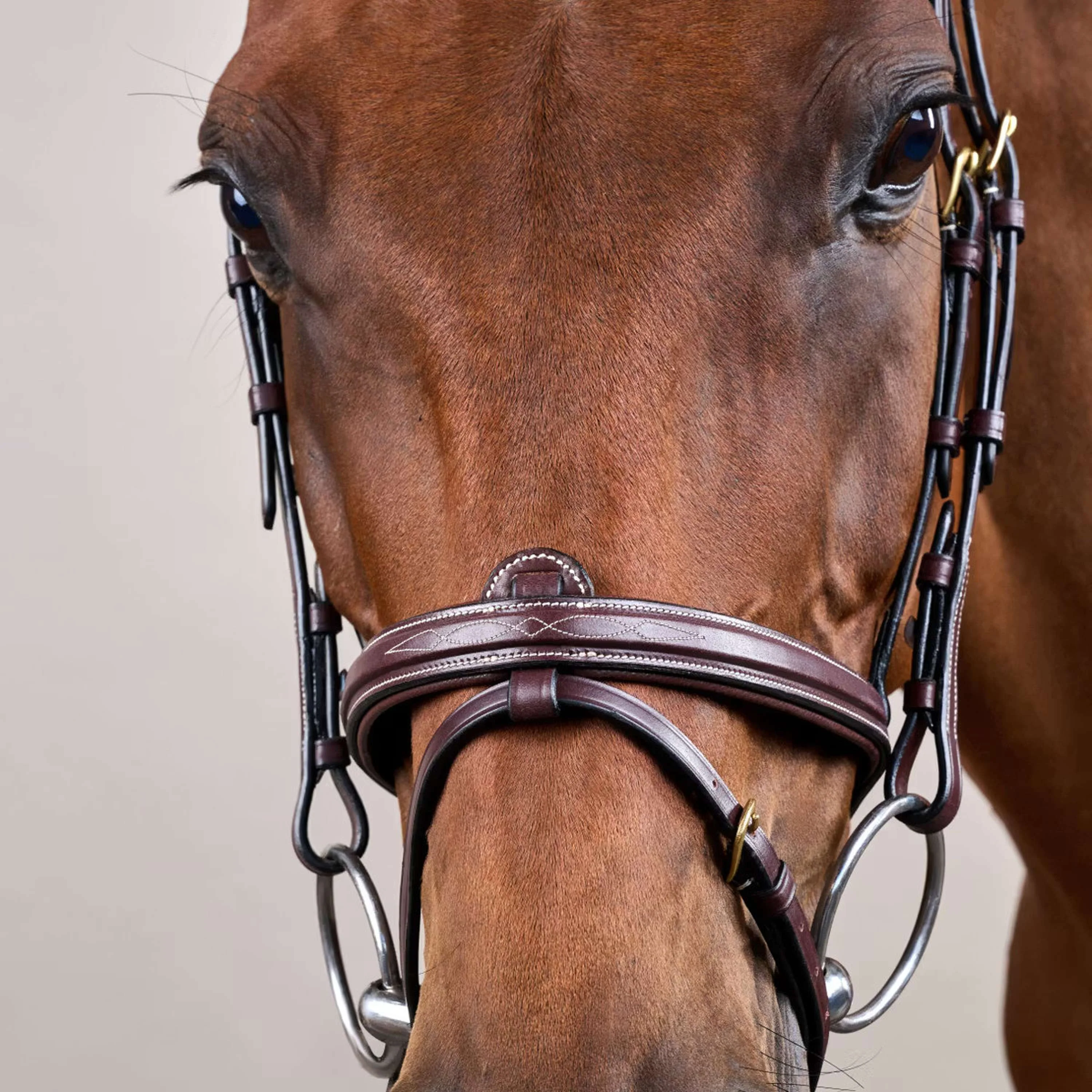 Dyon Briglia Flash Marrone - Image 4