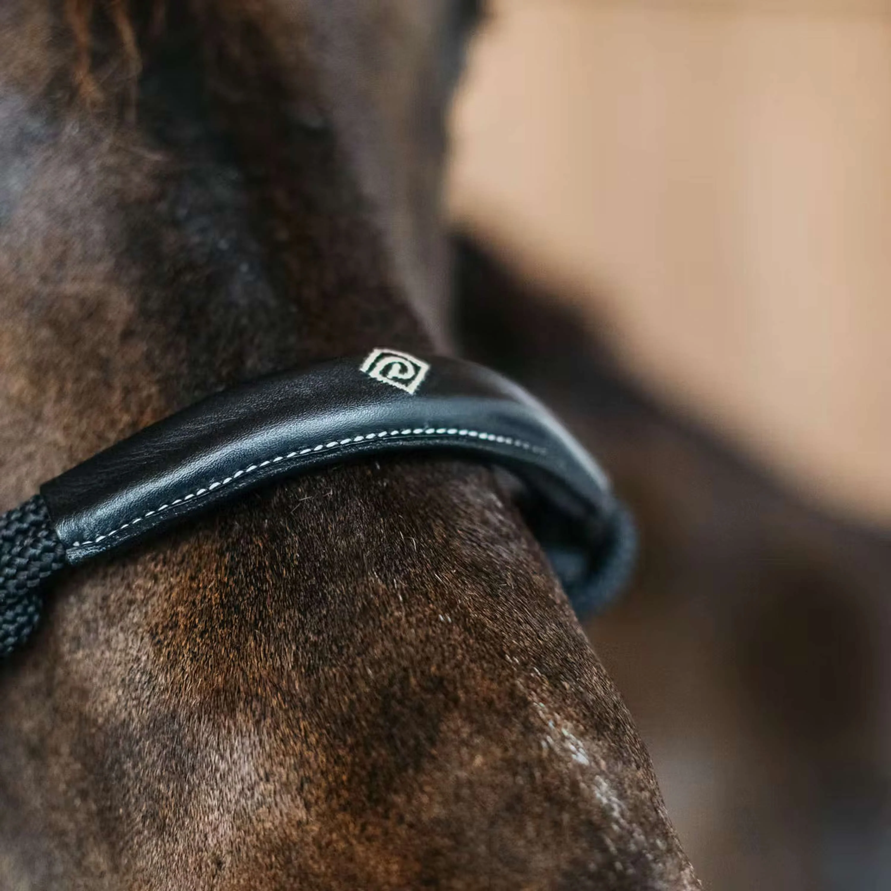 Dyon Cavezza in Corda Nero - Image 3