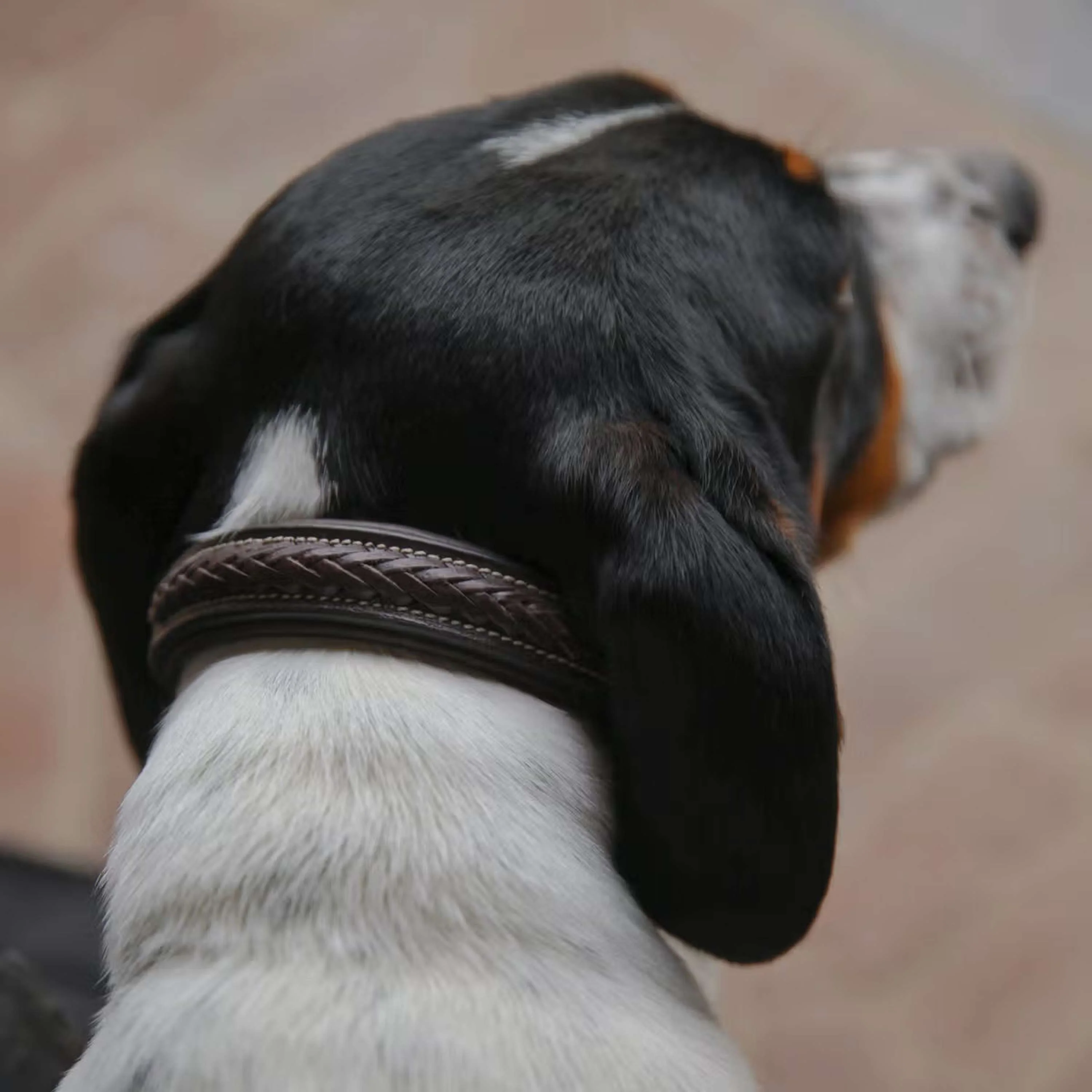 Dyon Halsband Intrecciato Marrone - Image 4