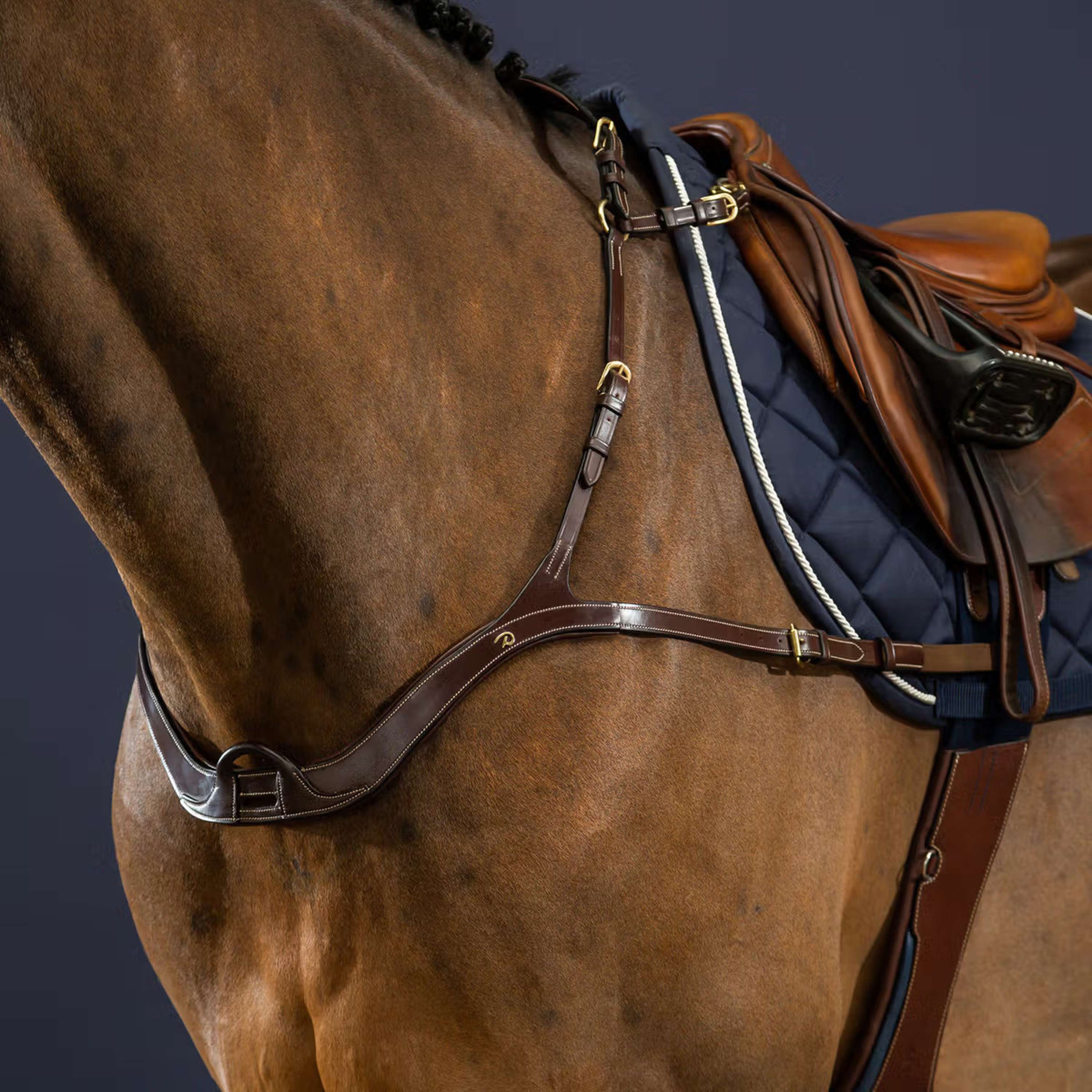 Dyon Pettorina Anatomical Marrone/Ottone - Image 4