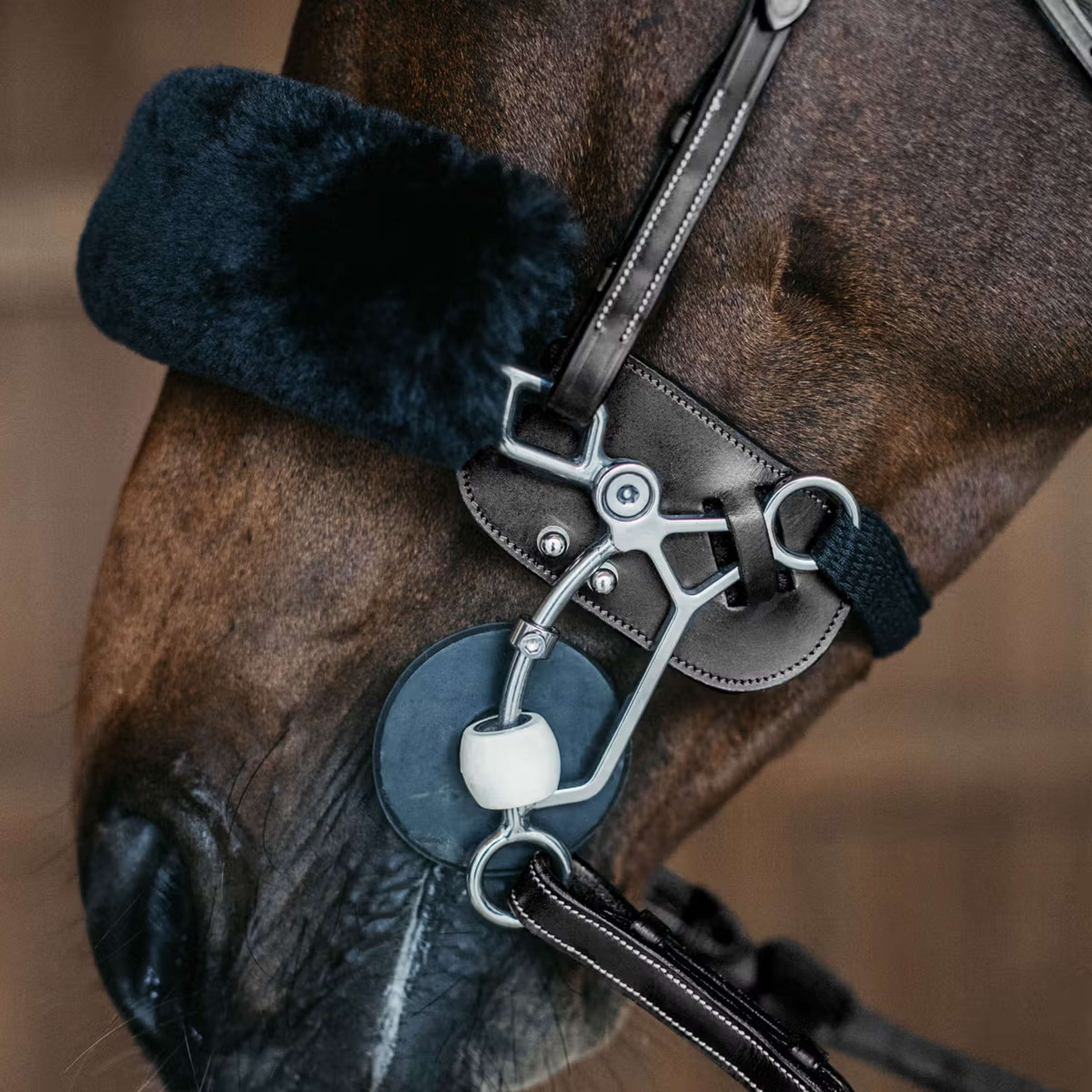 Dyon Protezione Hackamore Nero - Image 2