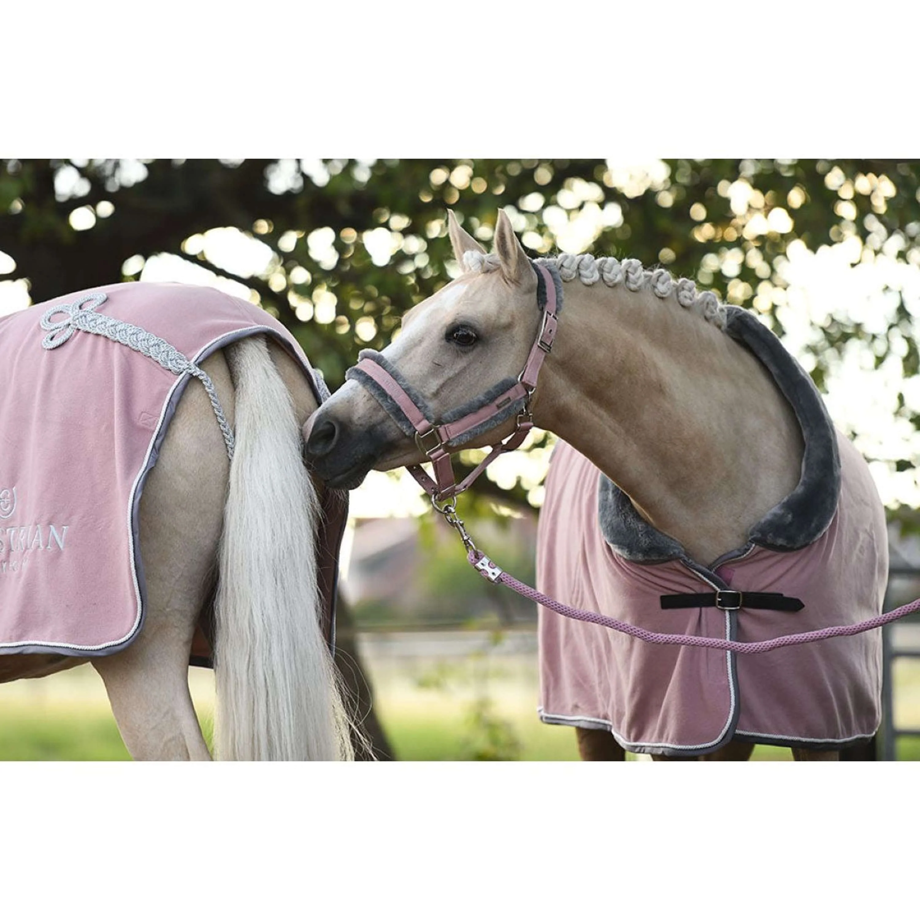 Equestrian Stockholm Cavezza e corda Fur Rosa - Image 4