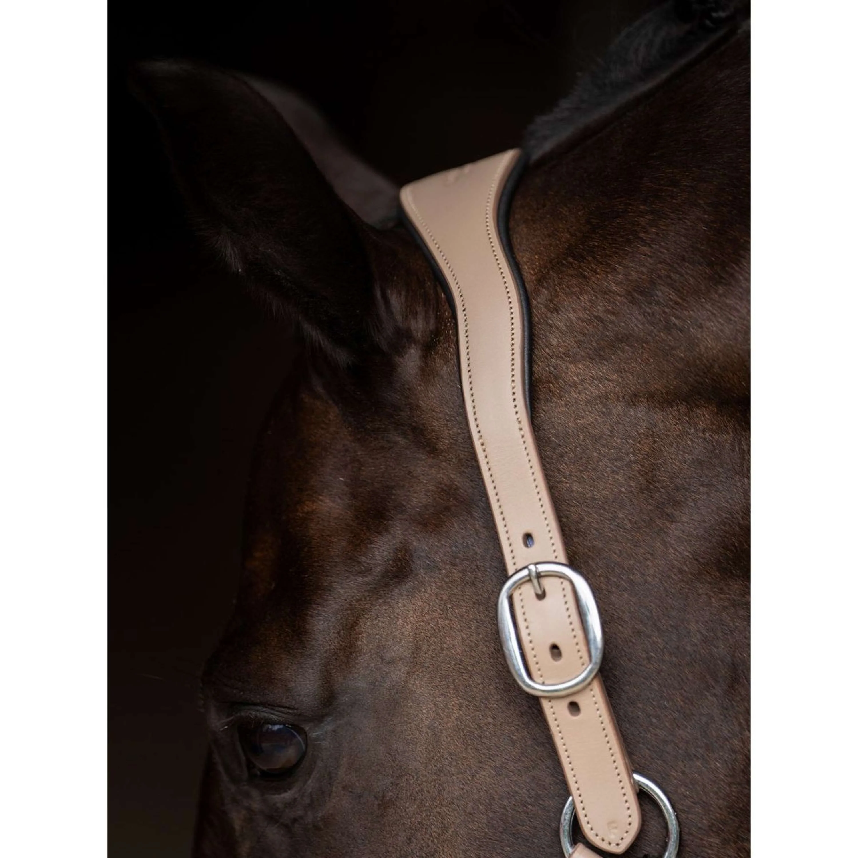 Equestrian Stockholm Cavezza Glimmer Leather Anatomic Sand - Image 5