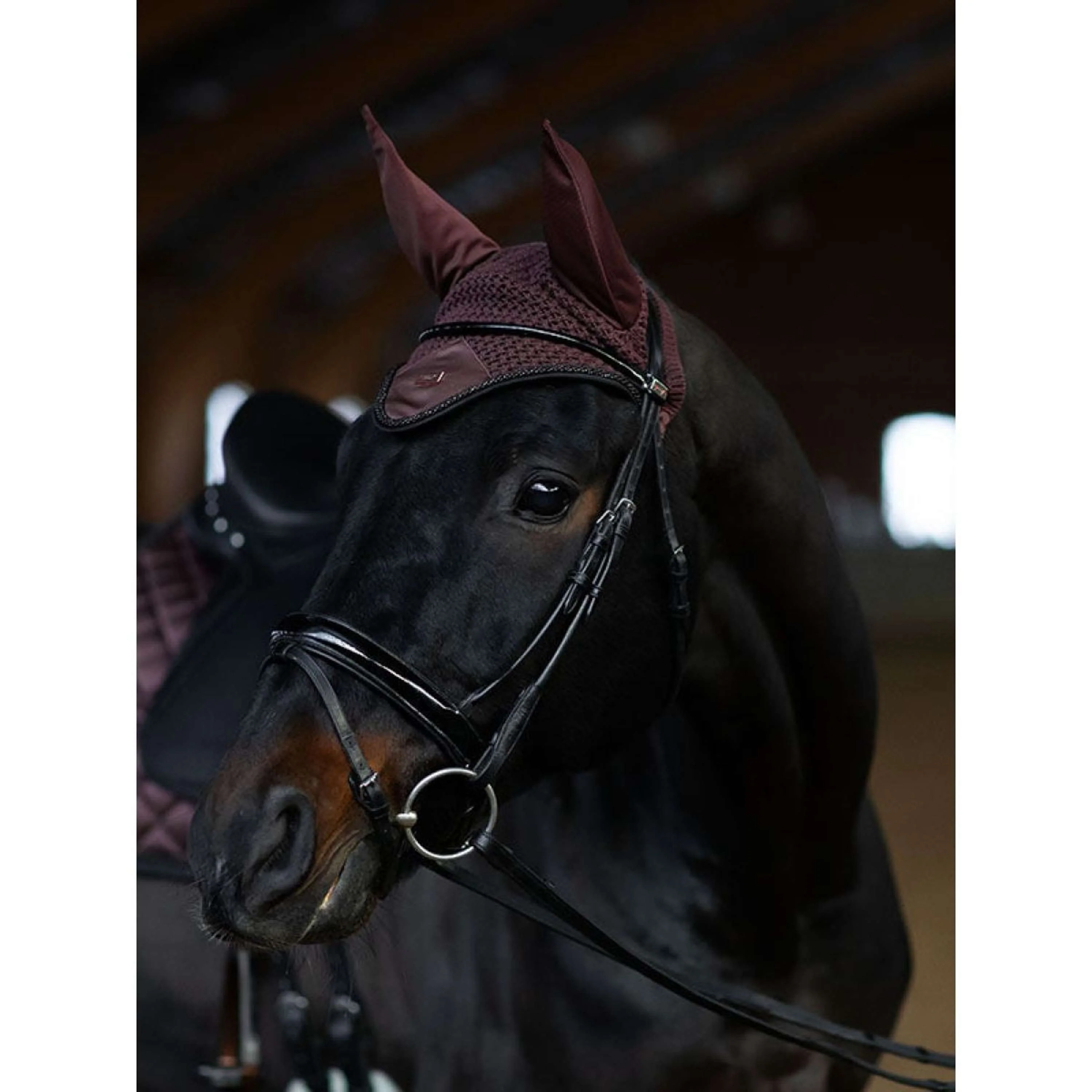 Equestrian Stockholm Cuffietta Endless Glow - Image 5