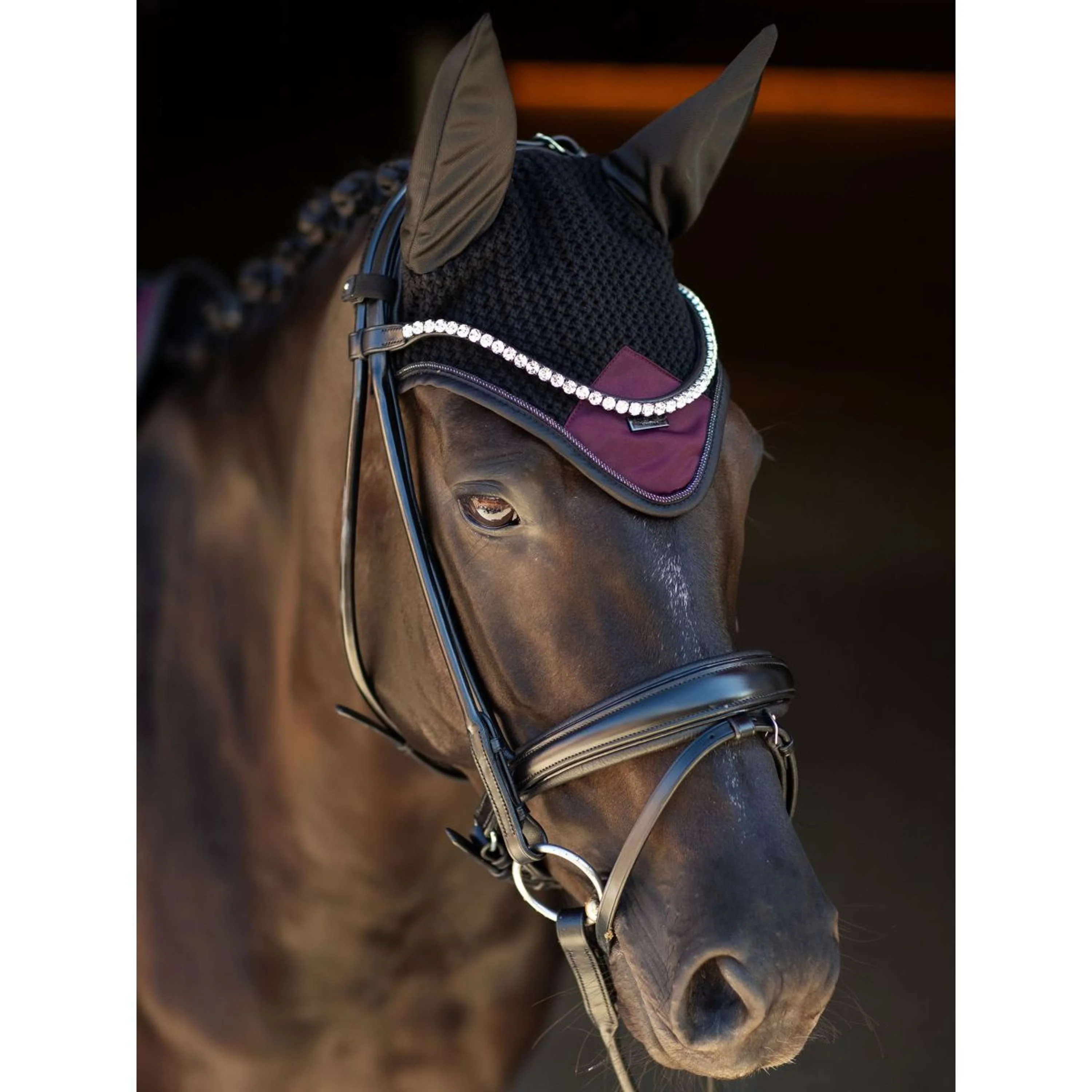 Equestrian Stockholm Cuffietta Modern Purple Night - Image 3