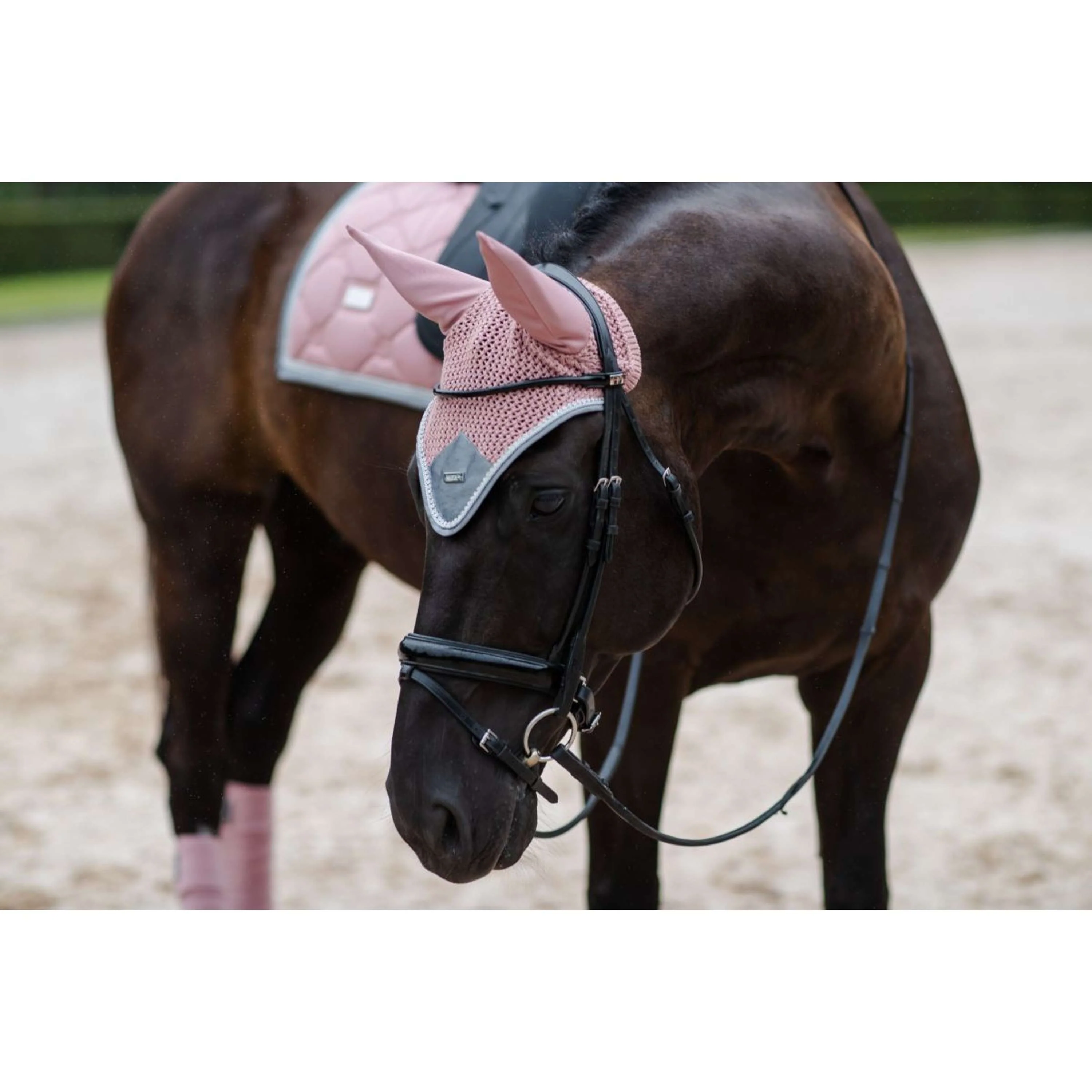 Equestrian Stockholm Cuffietta Rosa - Image 2