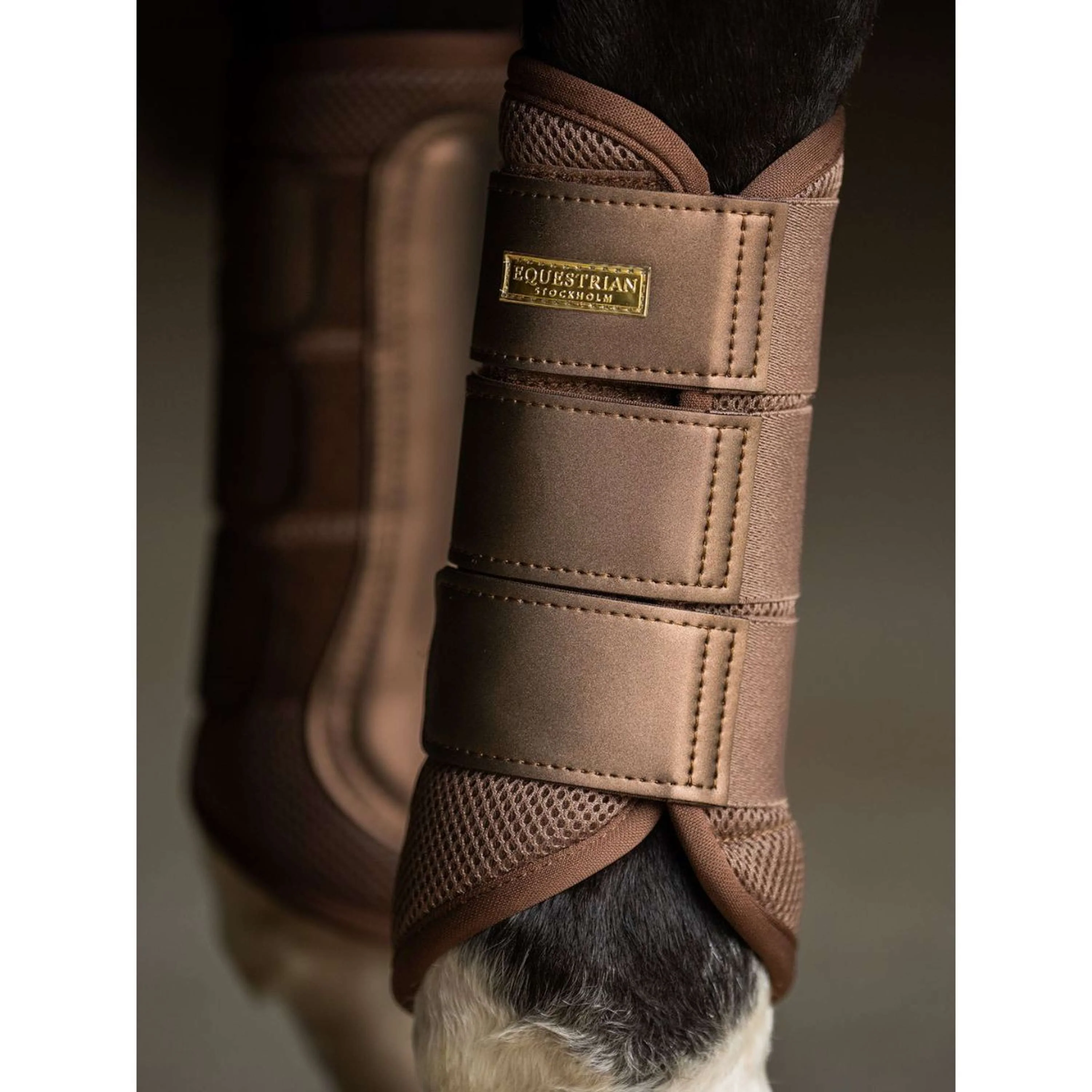Equestrian Stockholm Parastinchi Classic Mesh Champagne - Image 2
