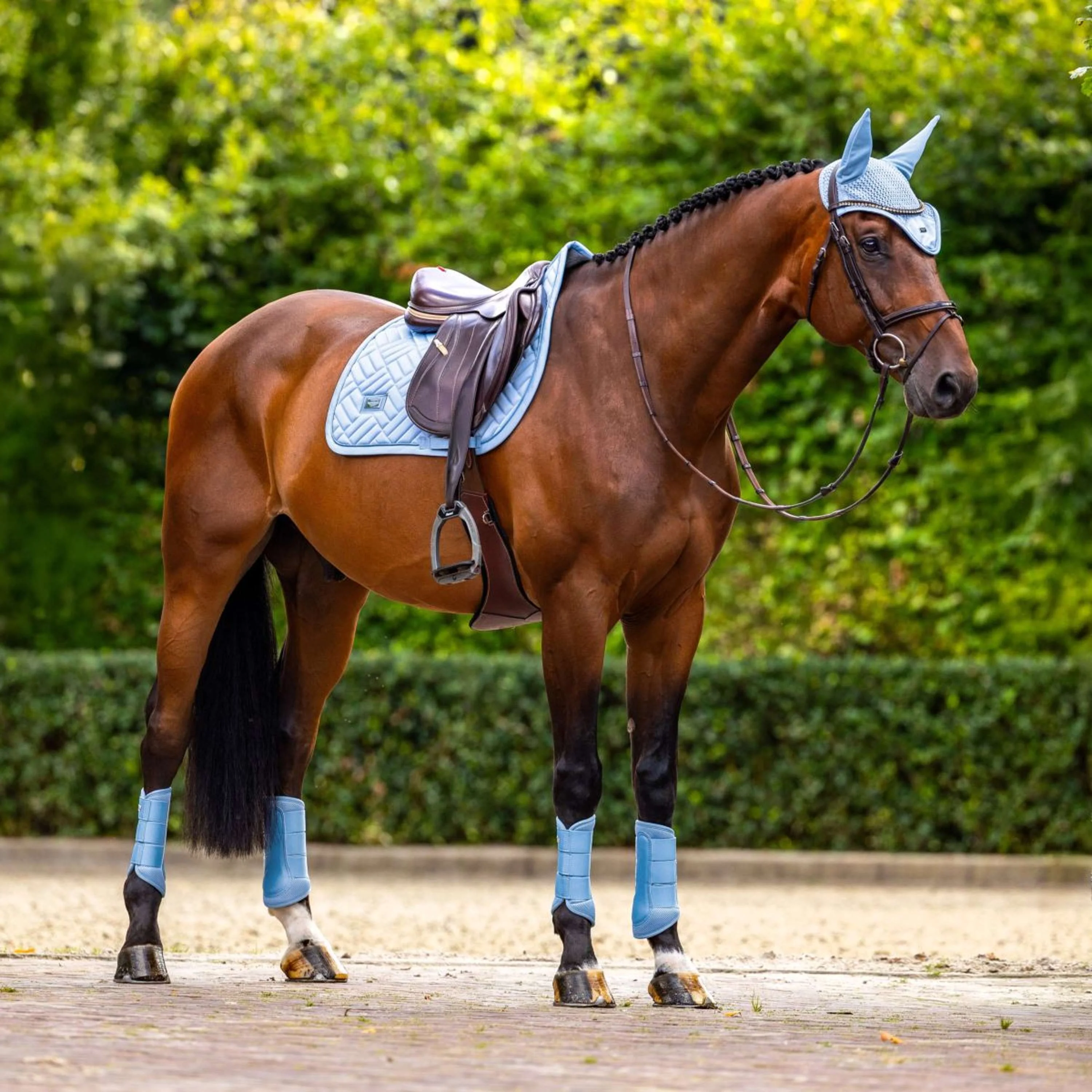 Equestrian Stockholm Parastinchi Classic Mesh Midsummer Blue - Image 4