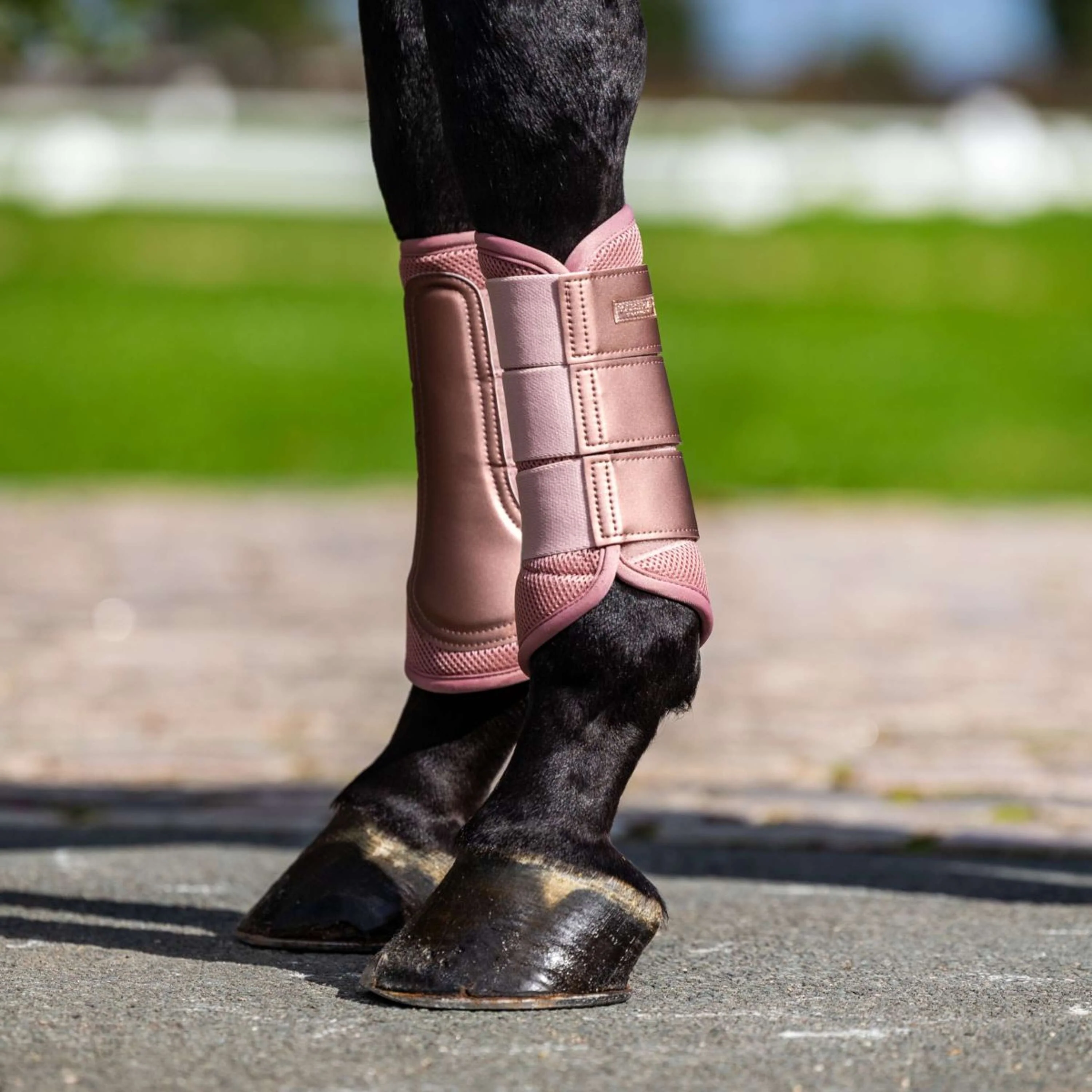 Equestrian Stockholm Parastinchi Classic Mesh Midsummer Blush - Image 2