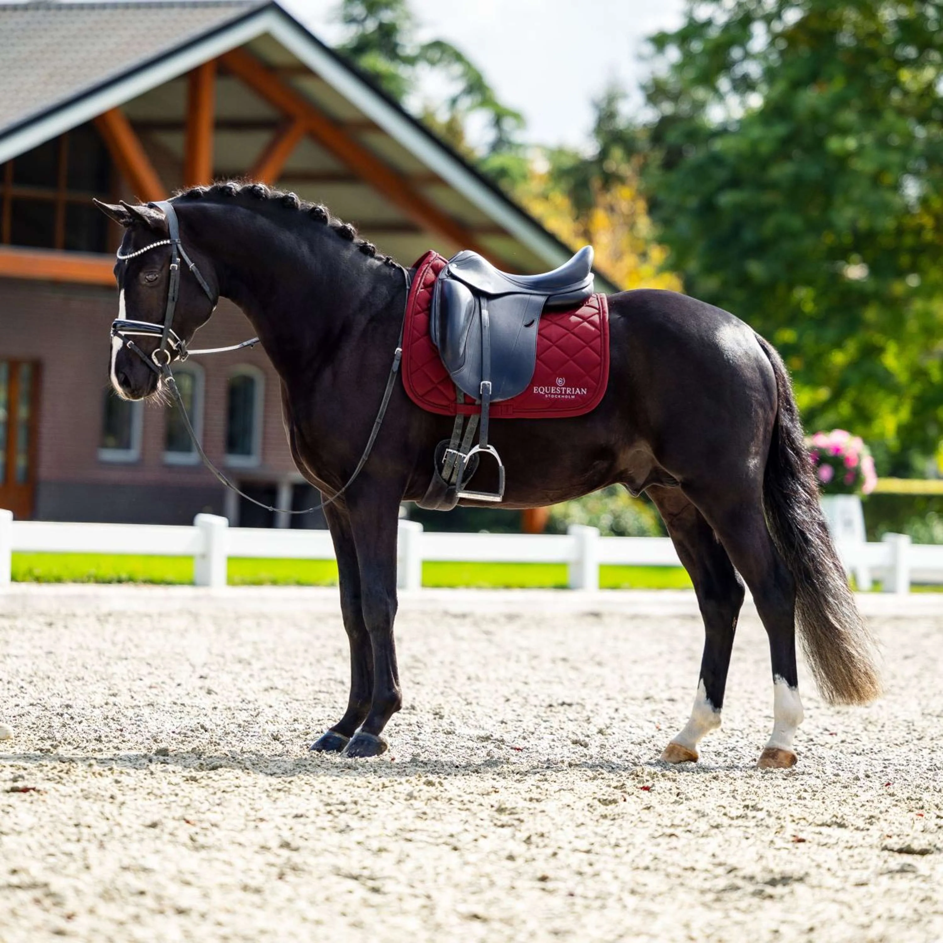 Equestrian Stockholm Sottosella Line Dressage Bordeaux - Image 4