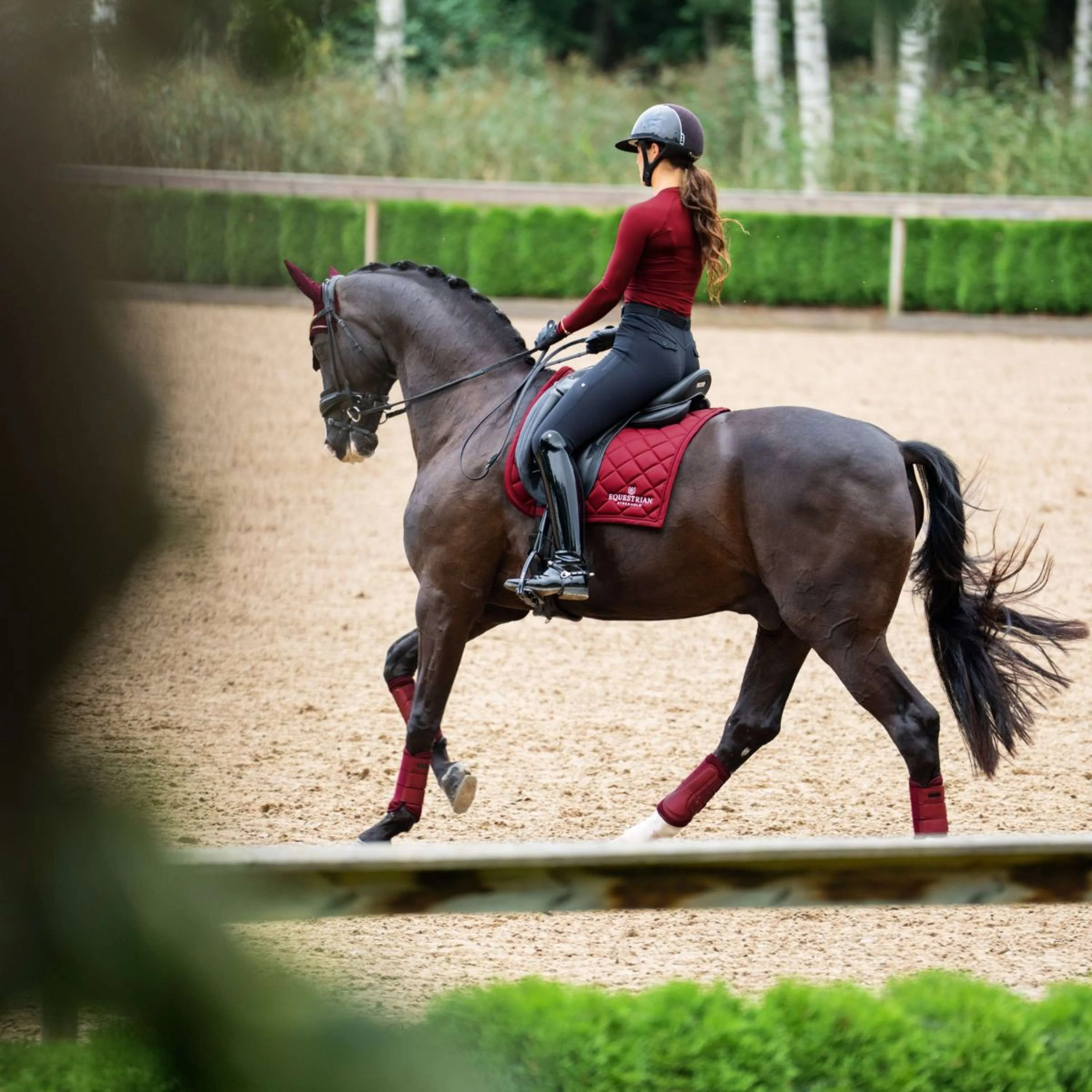 Equestrian Stockholm Sottosella Line Dressage Bordeaux - Image 5