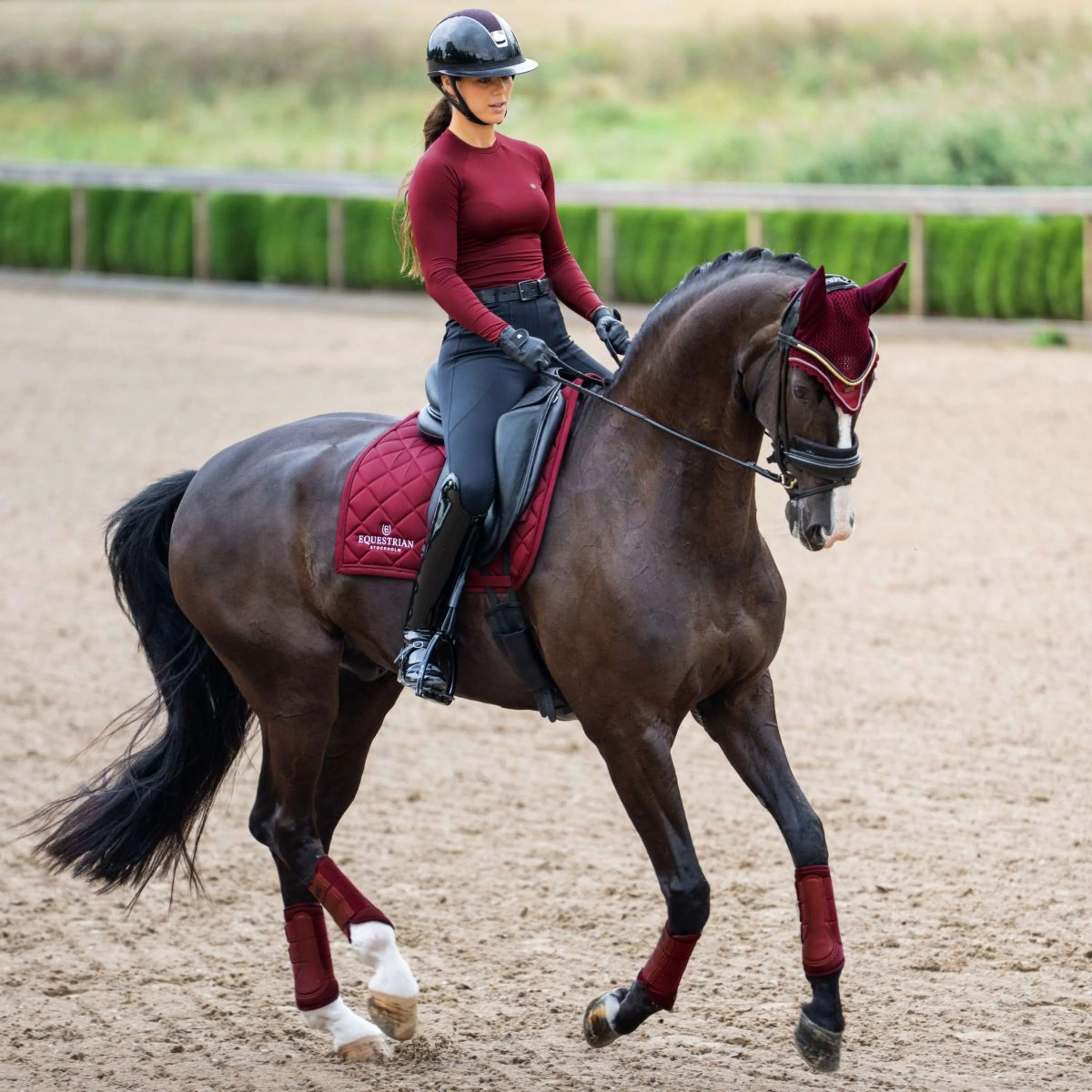 Equestrian Stockholm Sottosella Line Dressage Bordeaux - Image 7