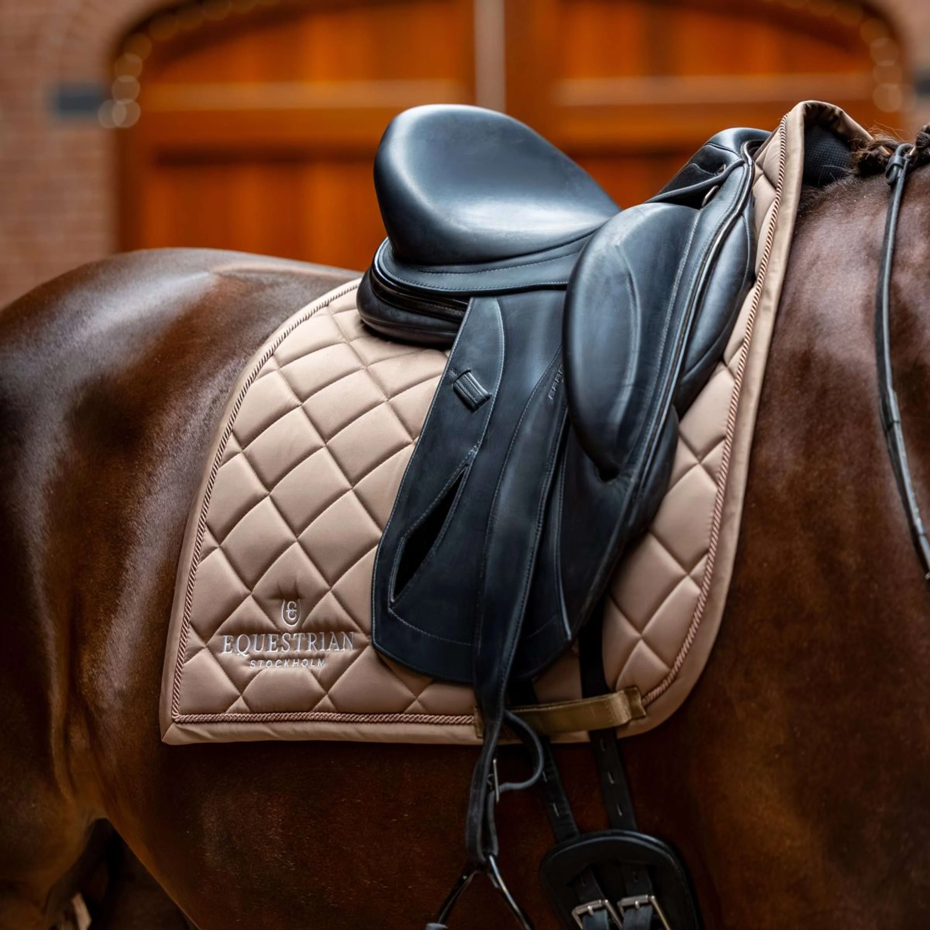 Equestrian Stockholm Sottosella Line Dressage Champagne - Image 2
