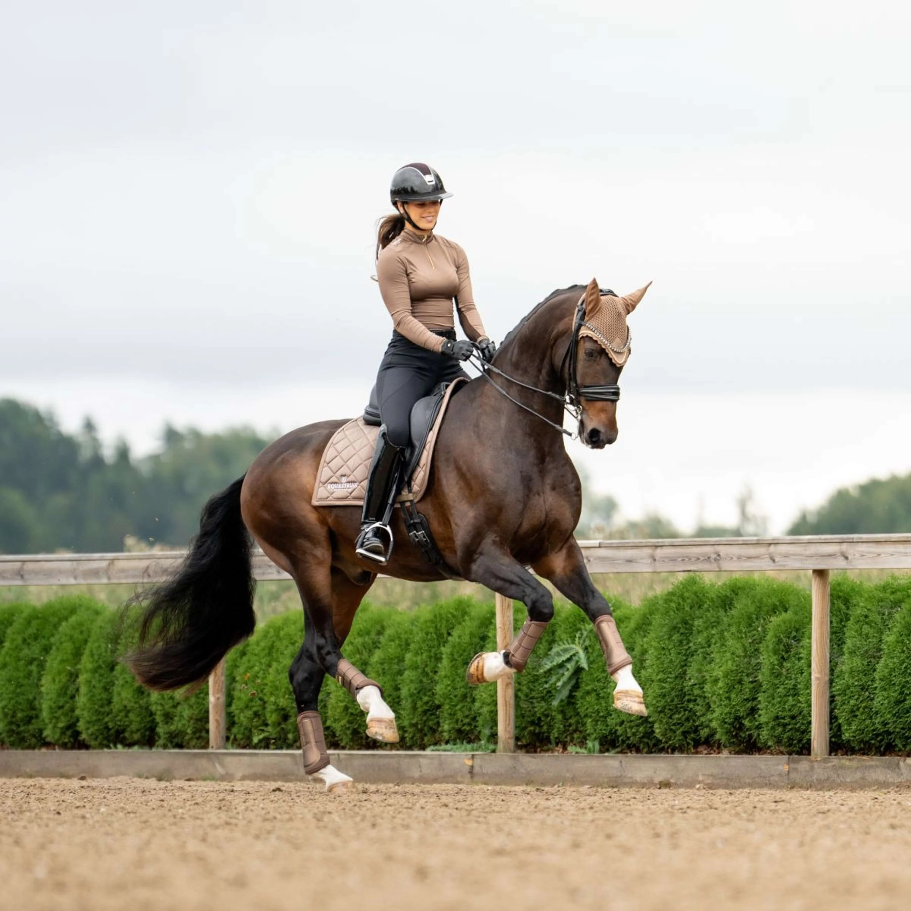 Equestrian Stockholm Sottosella Line Dressage Champagne - Image 4