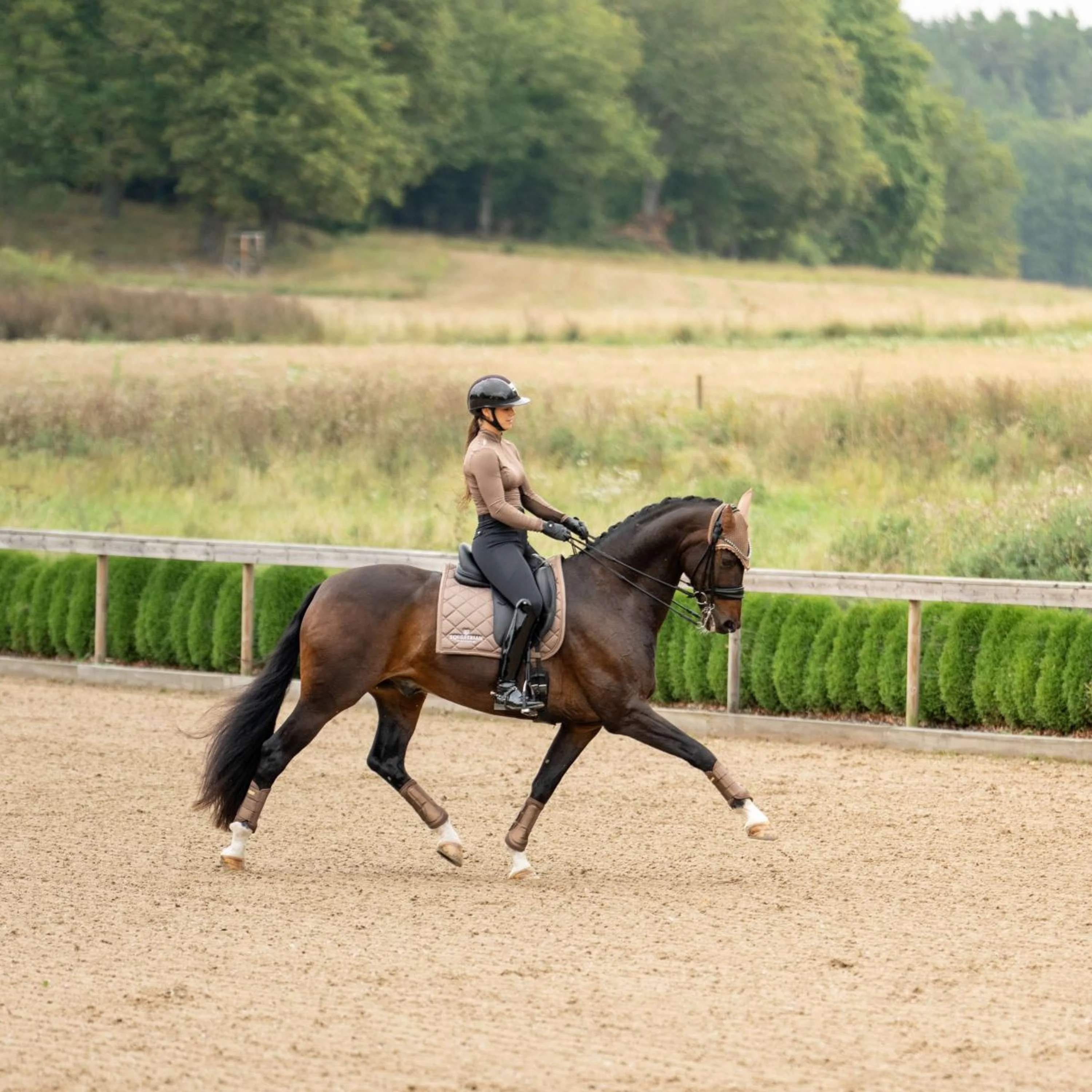 Equestrian Stockholm Sottosella Line Dressage Champagne - Image 6