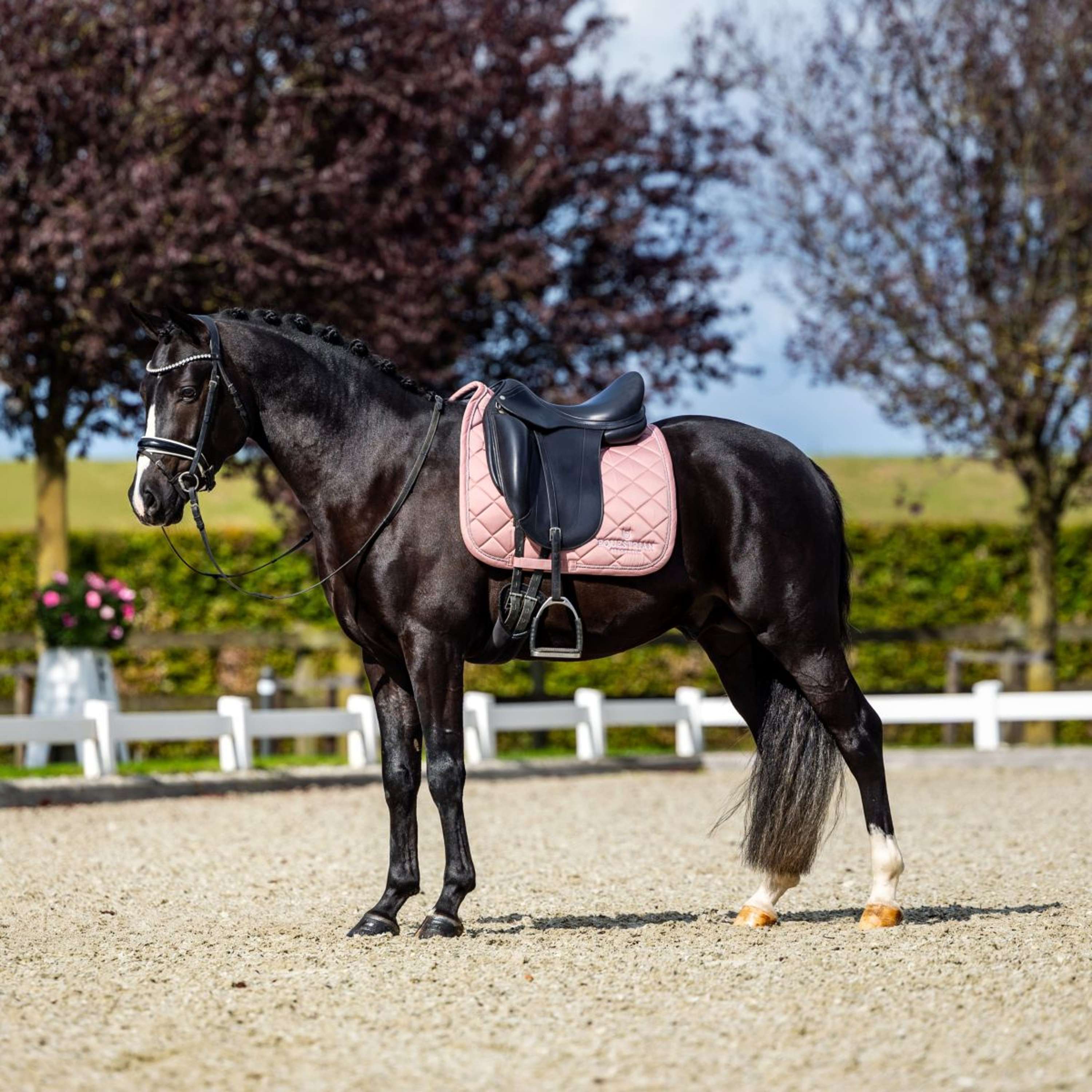 Equestrian Stockholm Sottosella Line Dressage Rosa - Image 6