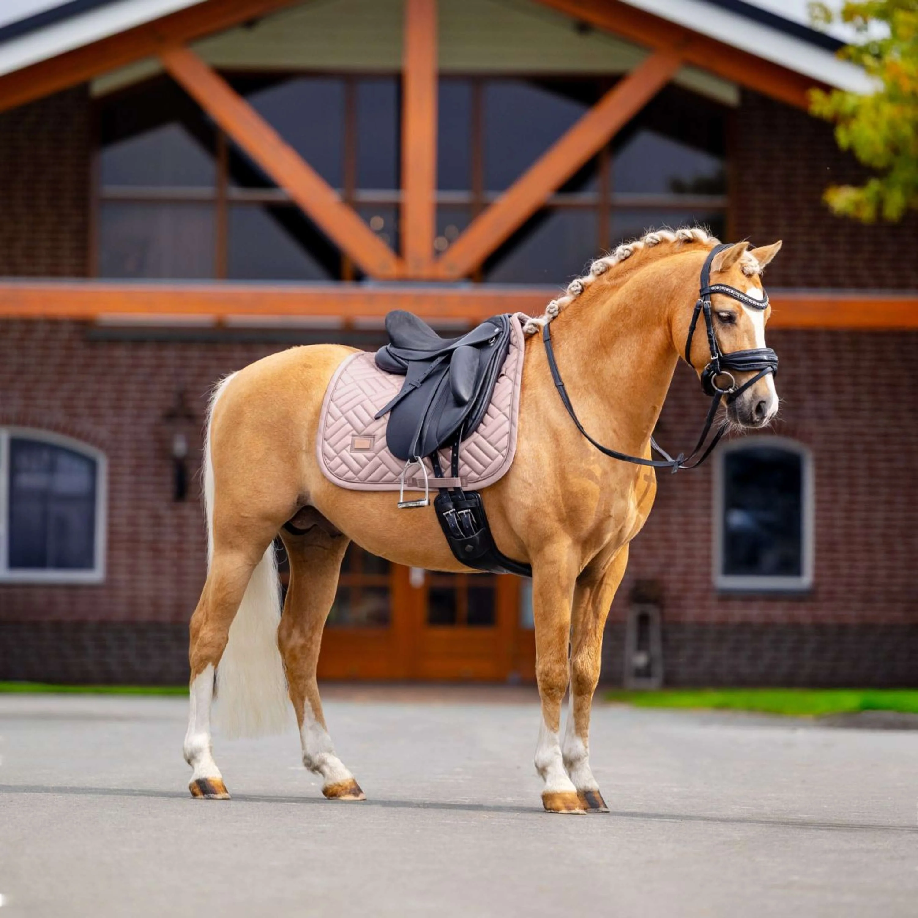 Equestrian Stockholm Sottosella Modern Dressage Midsummer Blush - Image 3