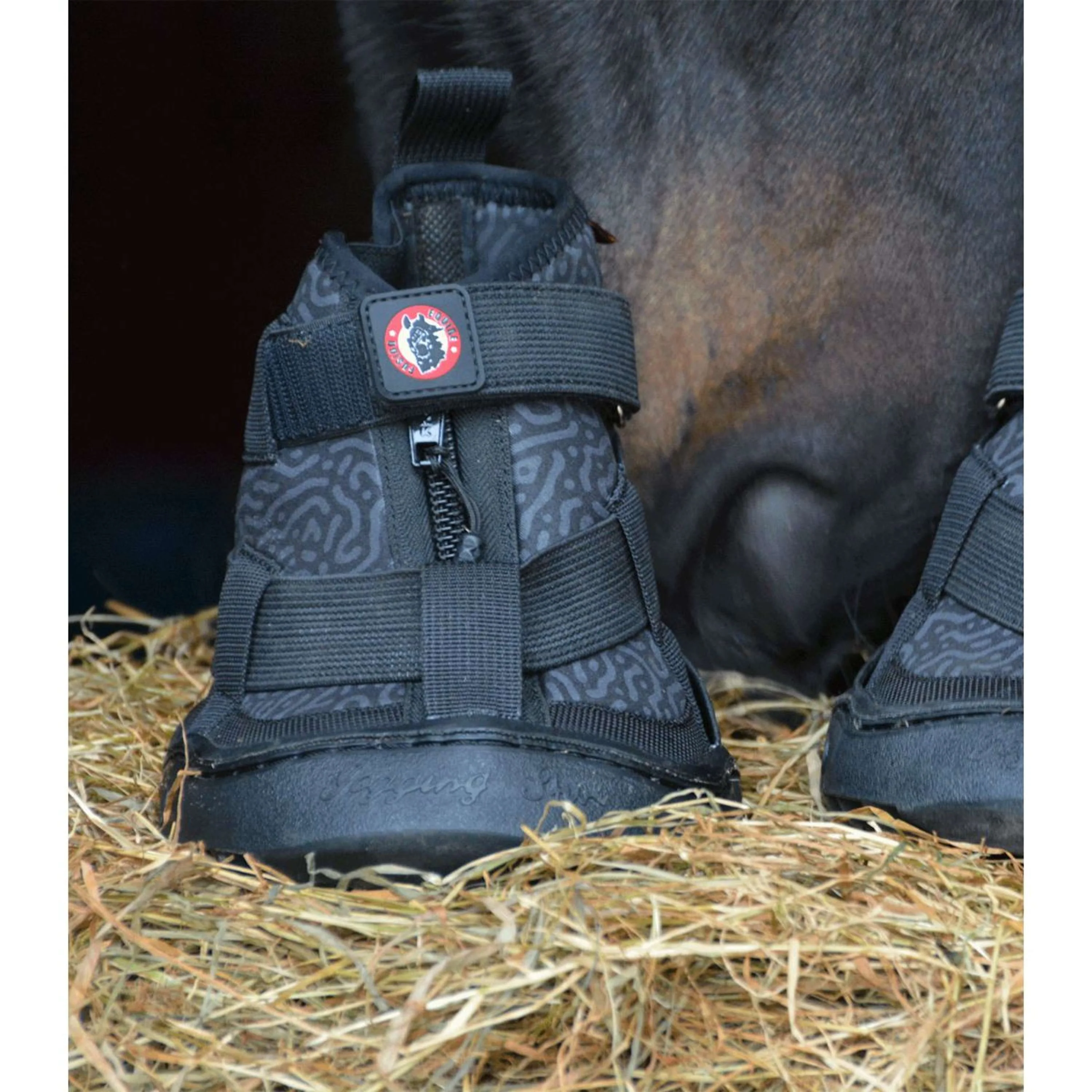 Equine Fusion Ferratura 2.0 - Image 8