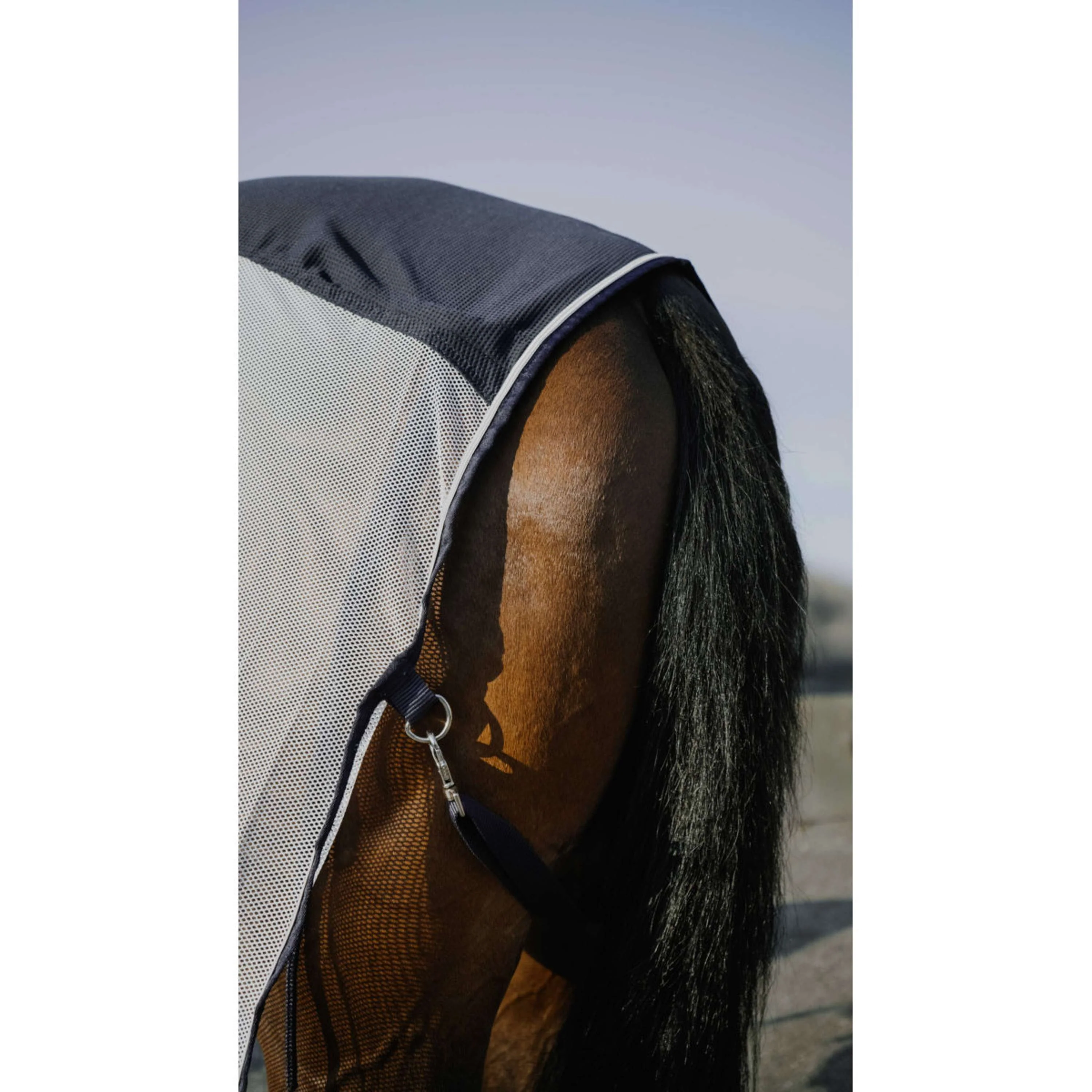 EQUITHÈME Coperta Antimosche Flycool Standard Blu marino/bianco - Image 3