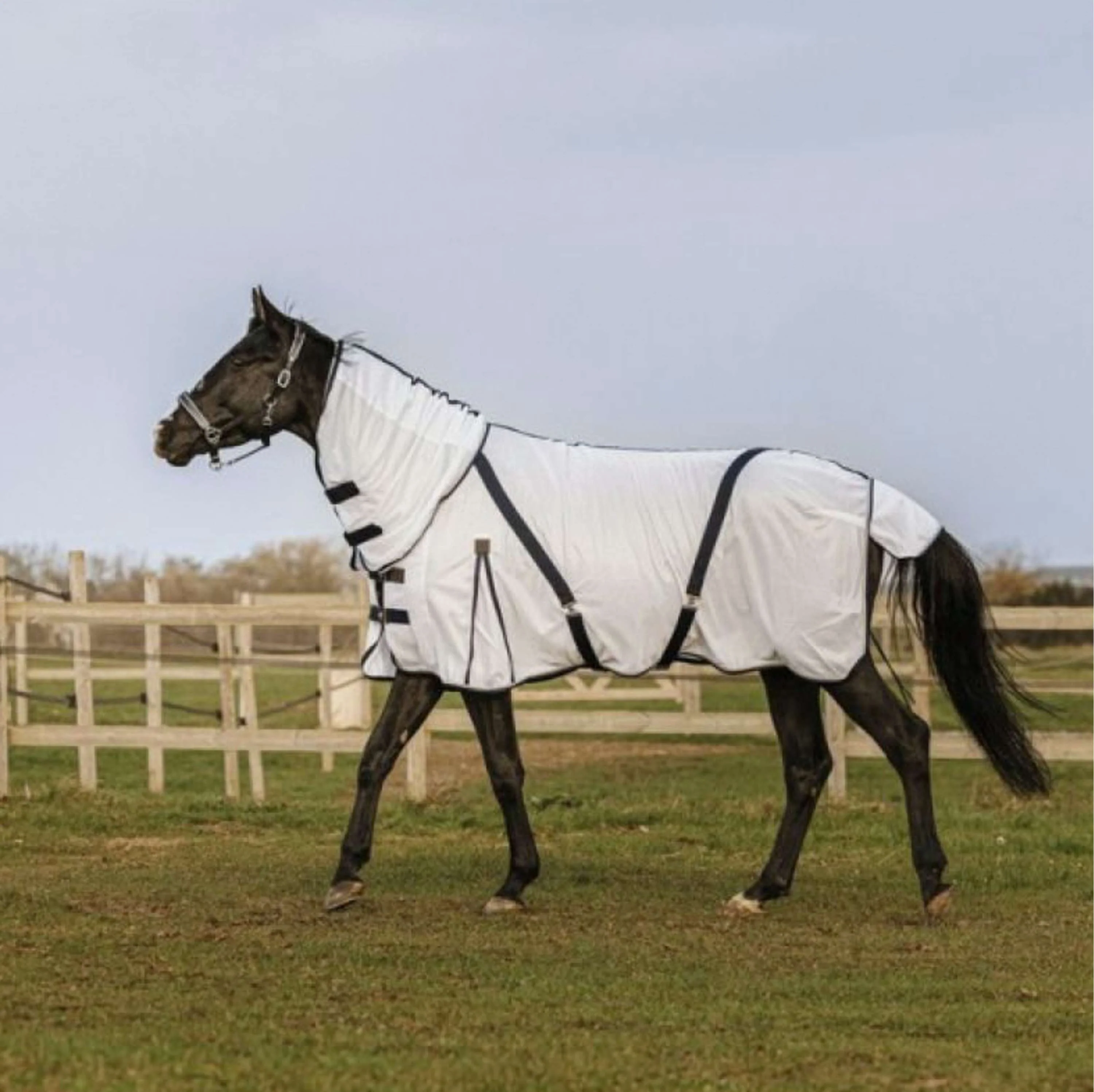 EQUITHÈME Coperta Antimosche Marina - Image 3