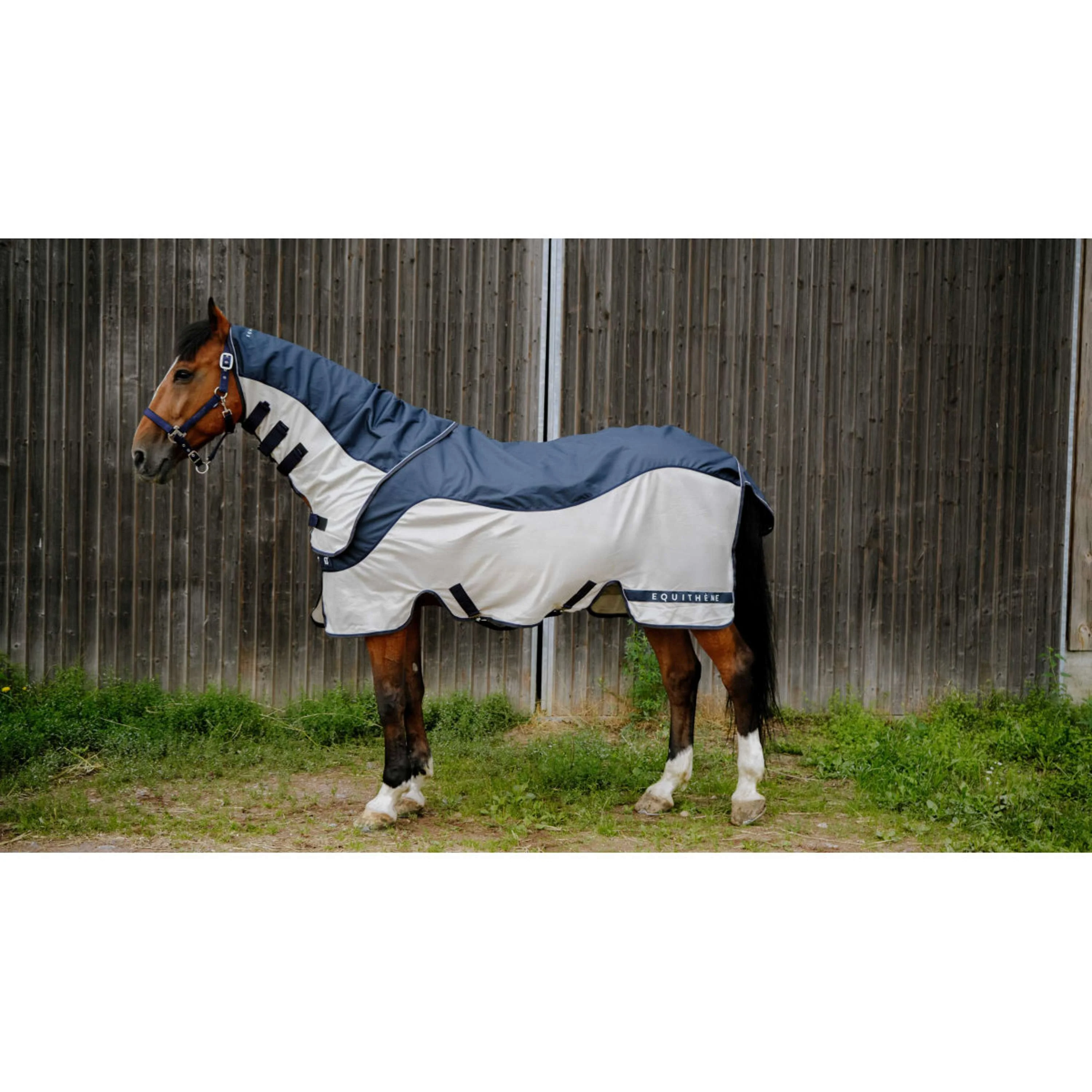 EQUITHÈME Coperta Antimosche TYREX Combofly 600D con collo Navy Blue/Grey - Image 2