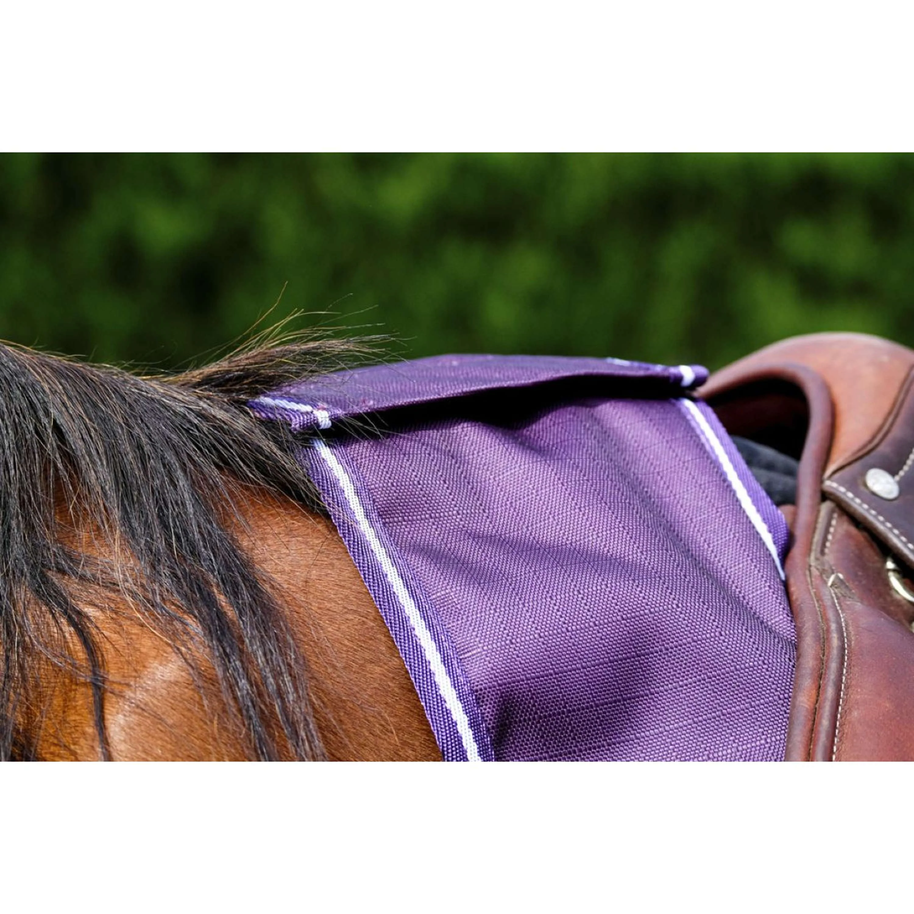 EQUITHÈME Coperta da esercizio Tyrex 600D - Image 5