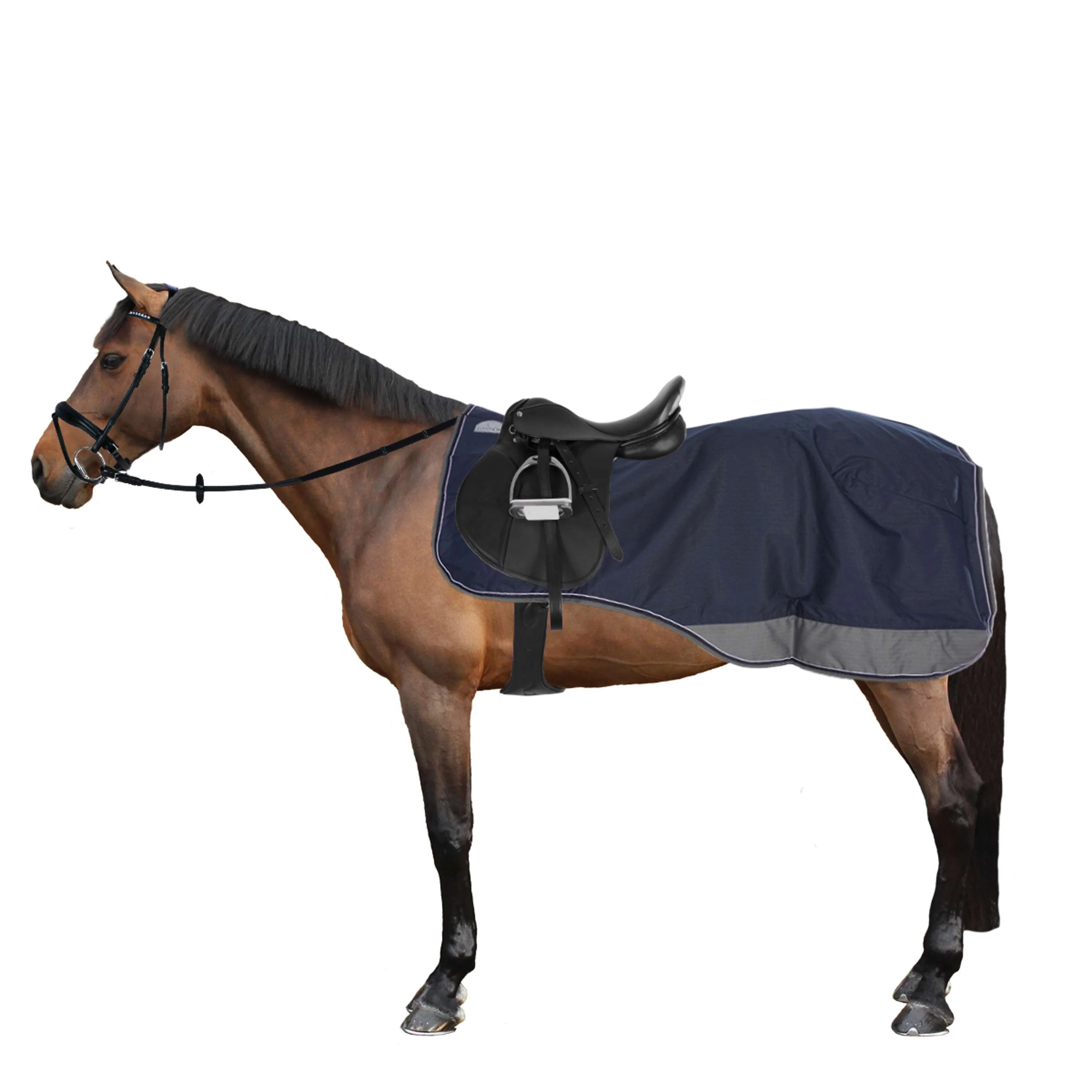 EQUITHÈME Coperta da esercizio Tyrex Polycotton 600D Nero/Blu