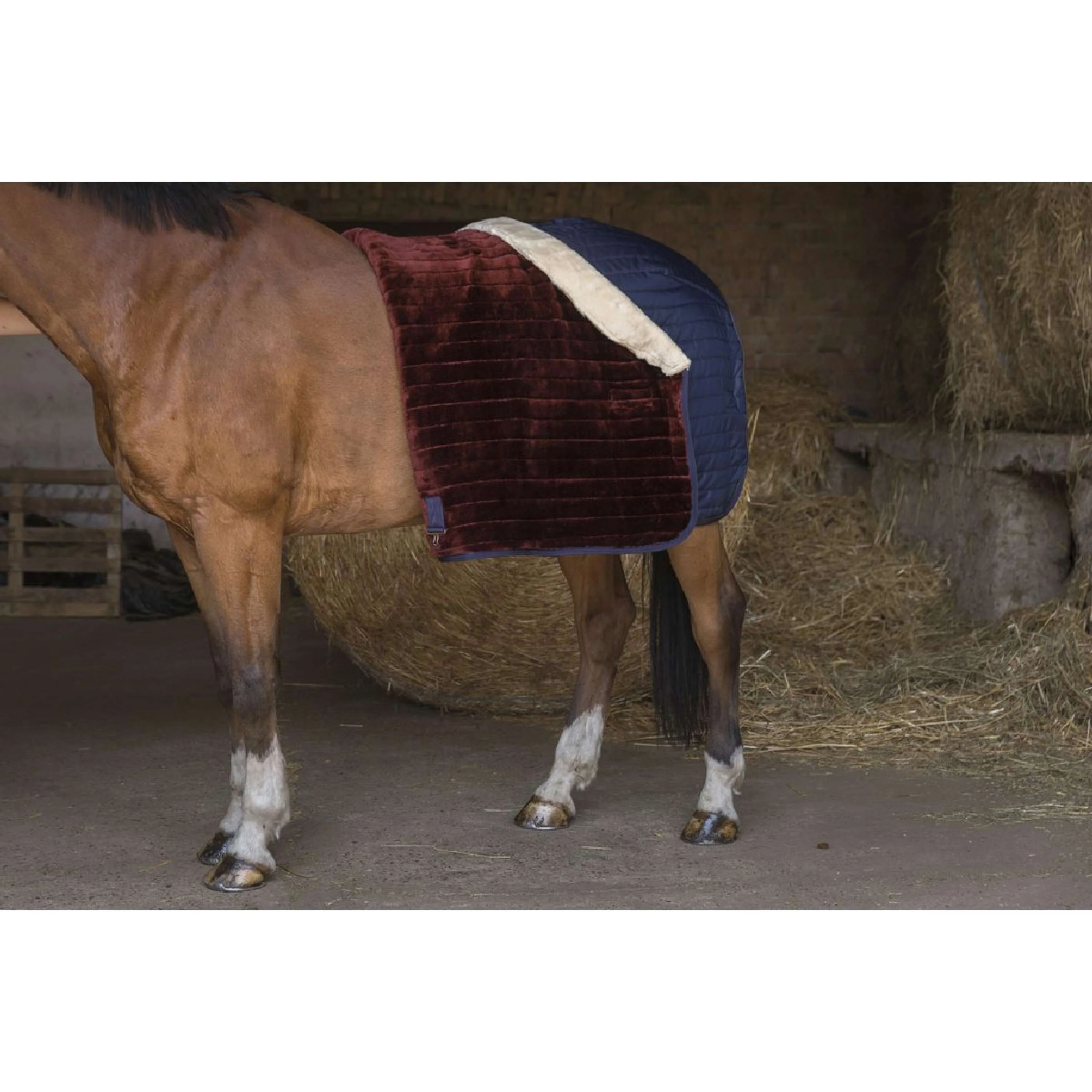 EQUITHÈME Coperta da scuderia Teddy Foderato con Pelle di Pecora Sintetica Navy - Image 10