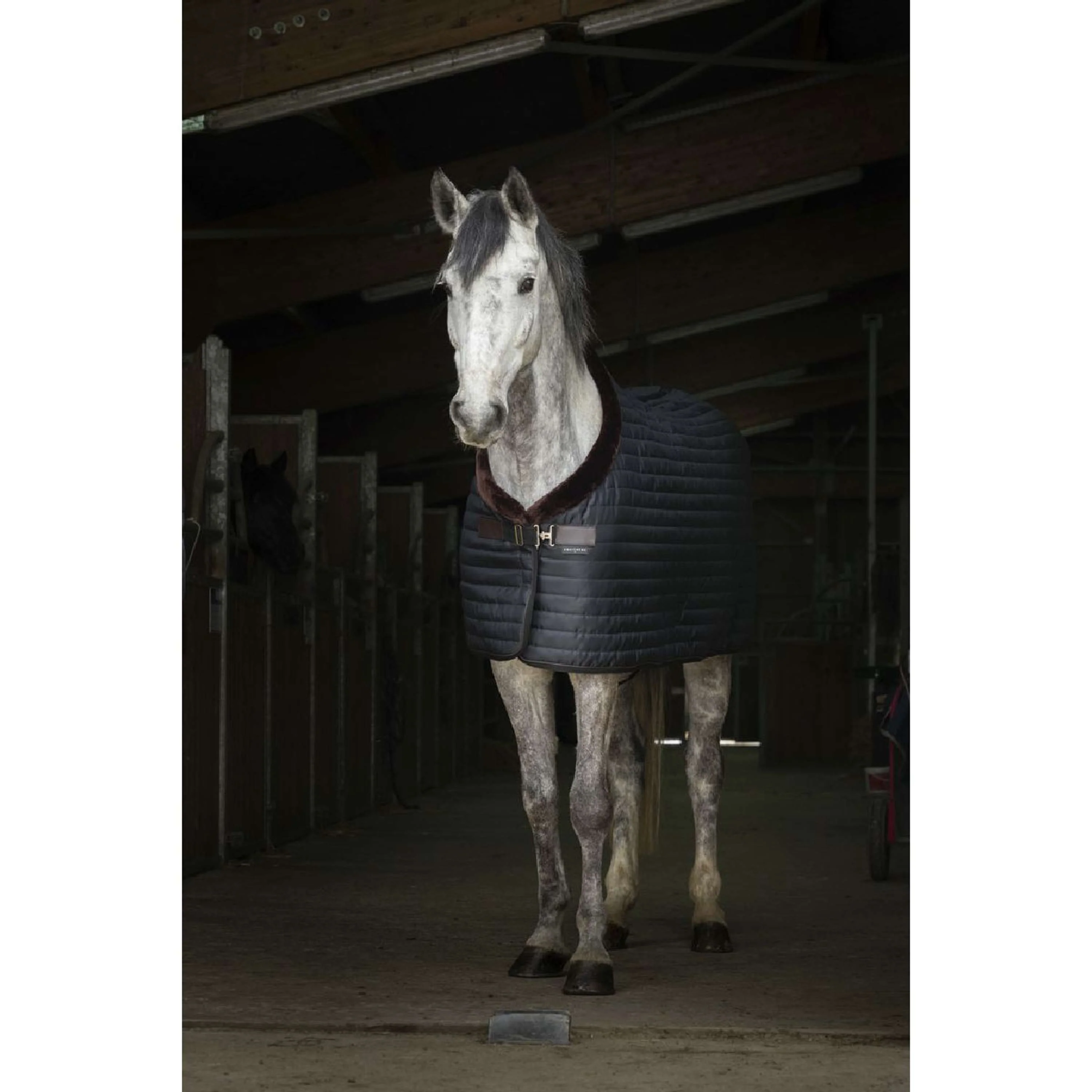 EQUITHÈME Coperta da scuderia Teddy Nero/Marrone - Image 10