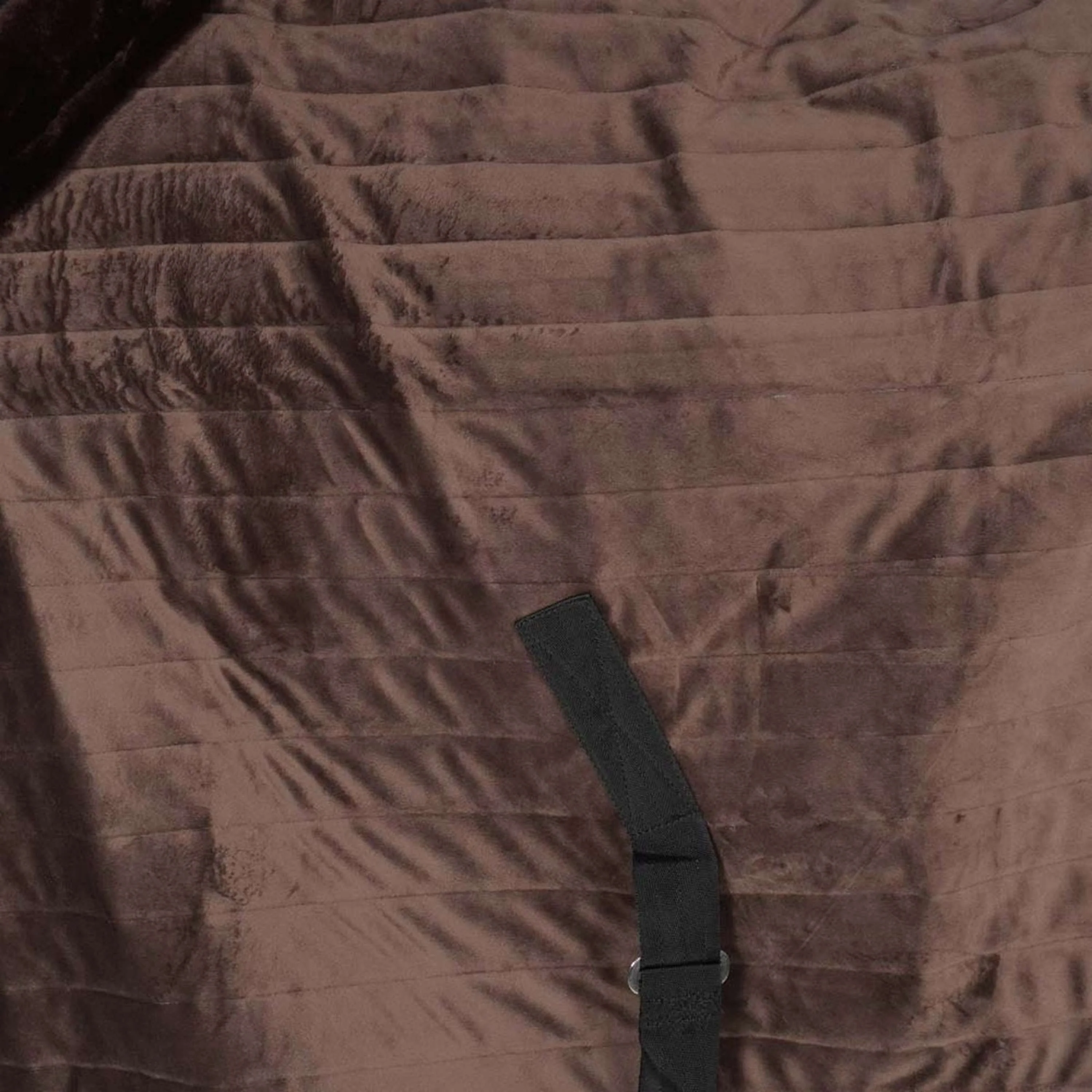 EQUITHÈME Coperta da scuderia Teddy Nero/Marrone - Image 8