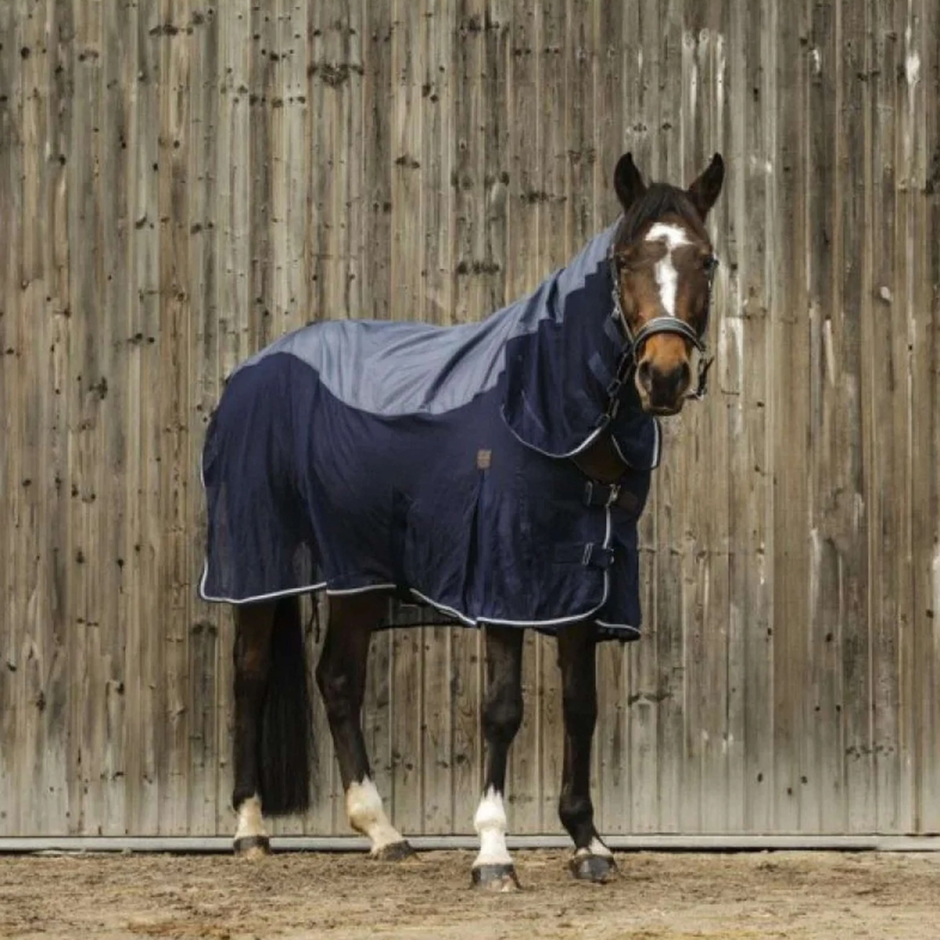 EQUITHÈME Coperta Estiva 3-in-1 Mixte Navy - Image 2