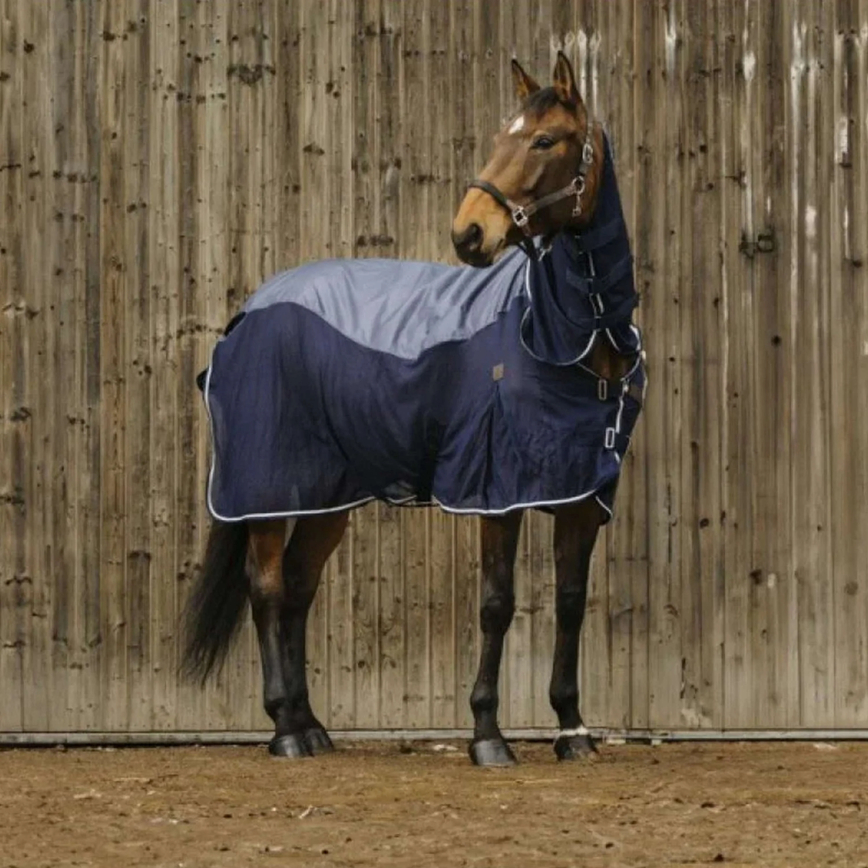 EQUITHÈME Coperta Estiva 3-in-1 Mixte Navy - Image 3
