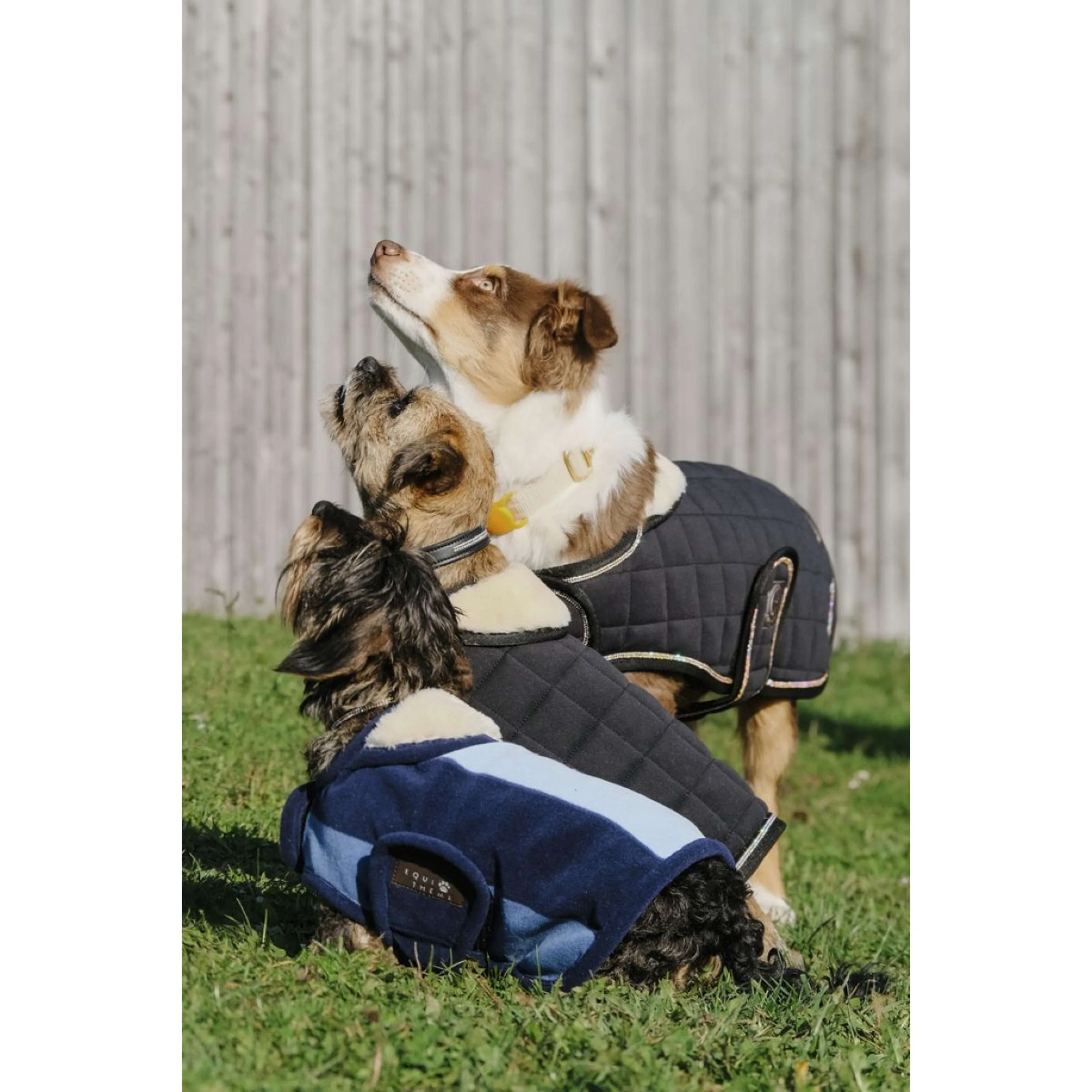 EQUITHÈME Coperta per Cani New Market Navy - Image 6