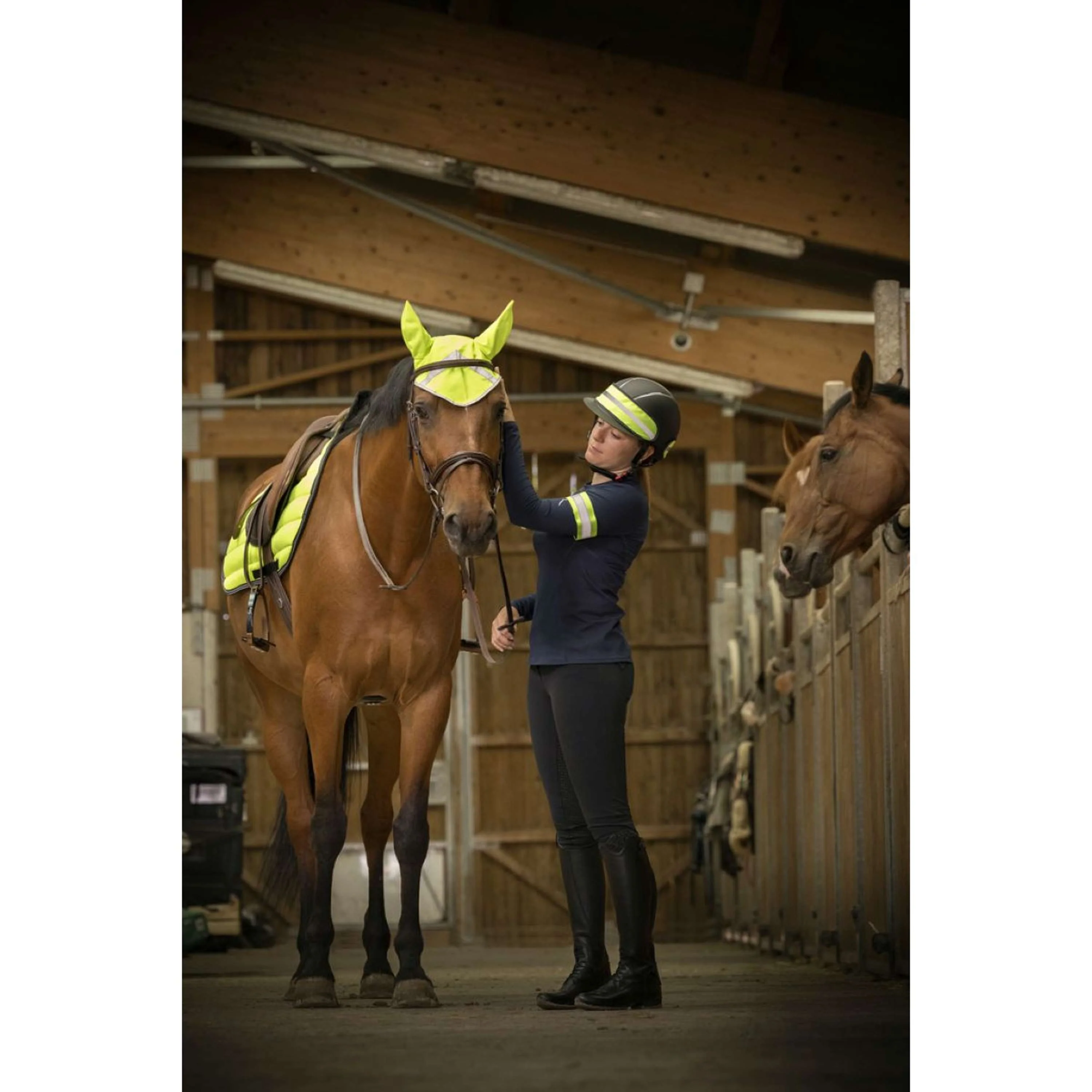 EQUITHÈME Fascia per cappello High Visibility Giallo Fluo - Image 3
