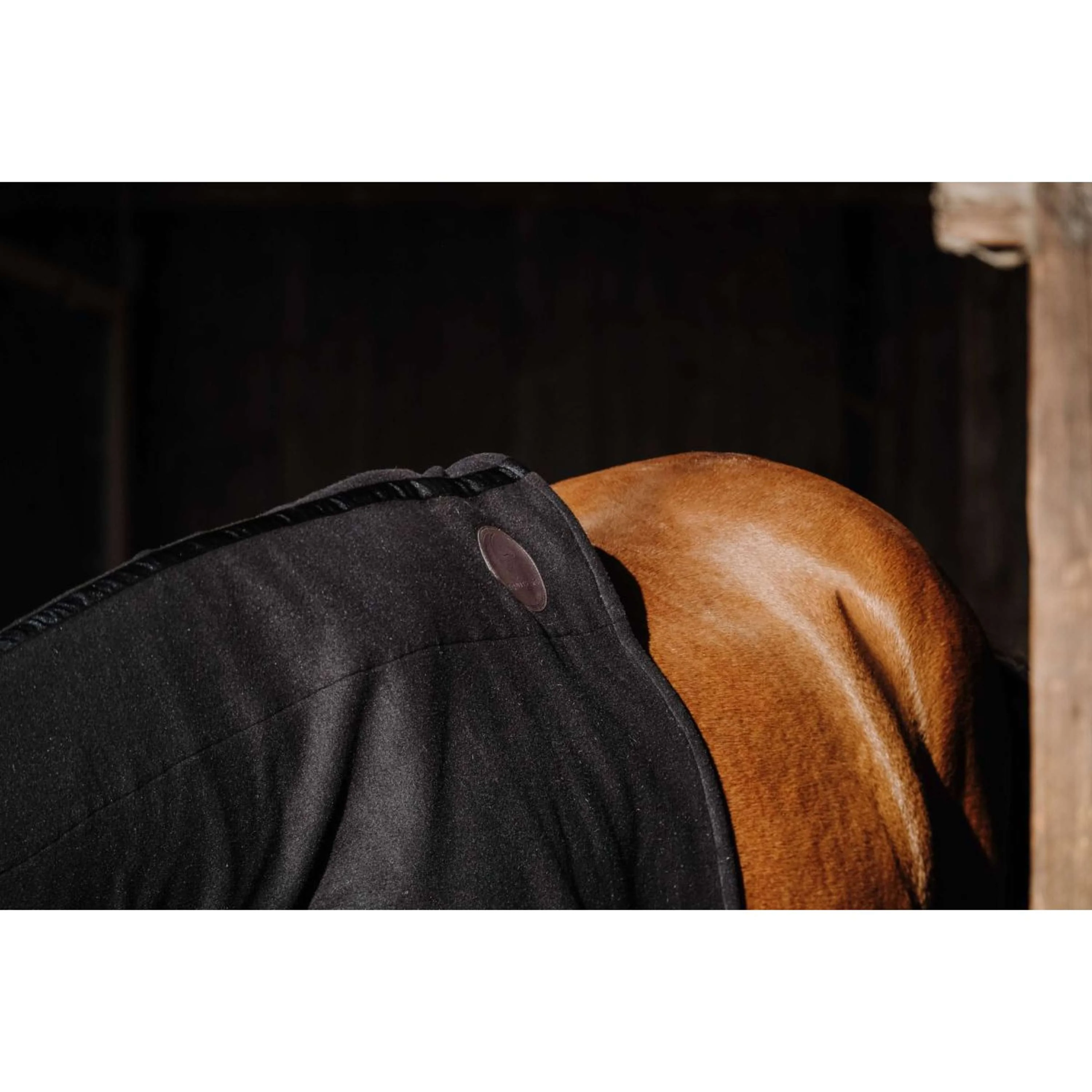 EQUITHÈME Protettore per il Collo Fleece Nero - Image 2