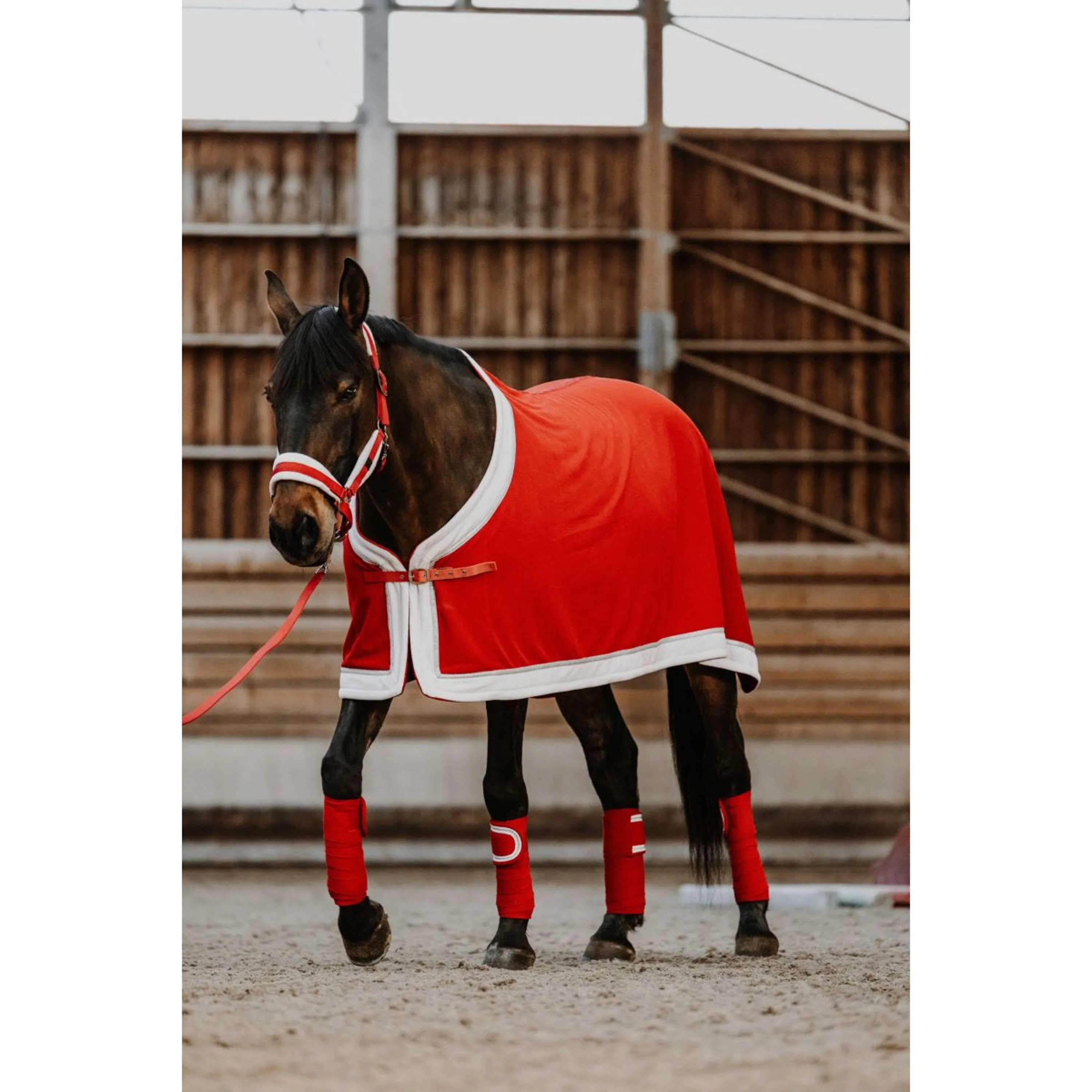 EQUITHÈME Set Cavezza Natale Rosso - Image 3