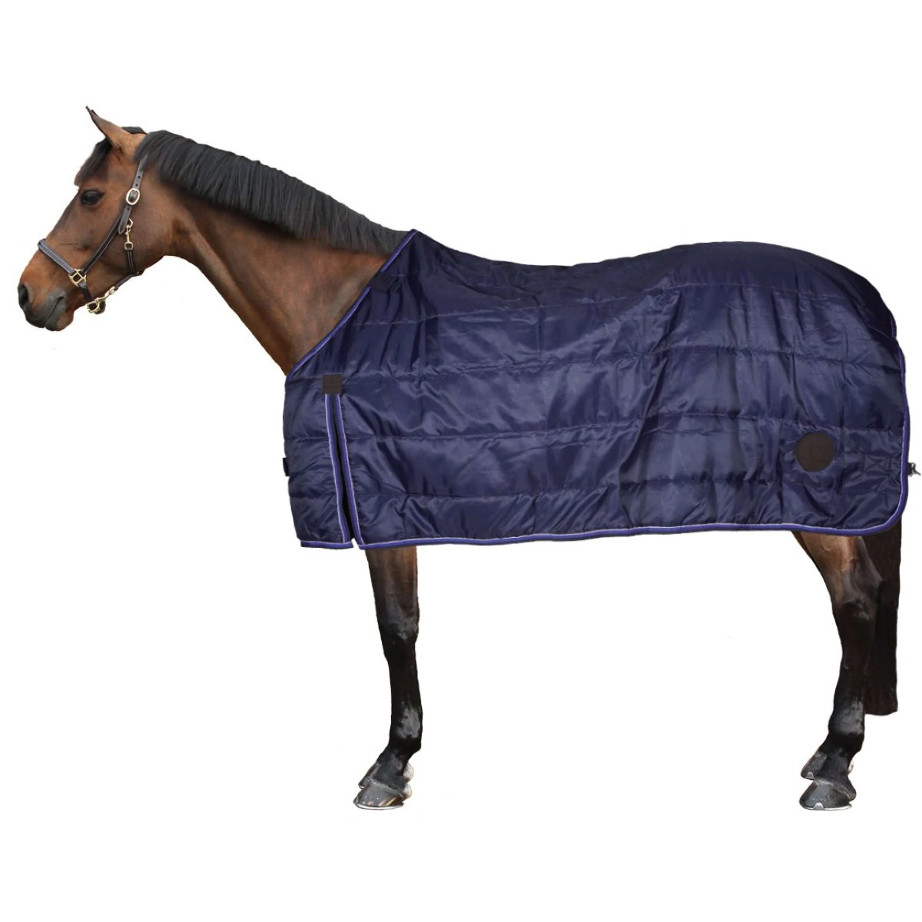 EQUITHÈME Sottocoperta Classic 50 g Navy - Image 2