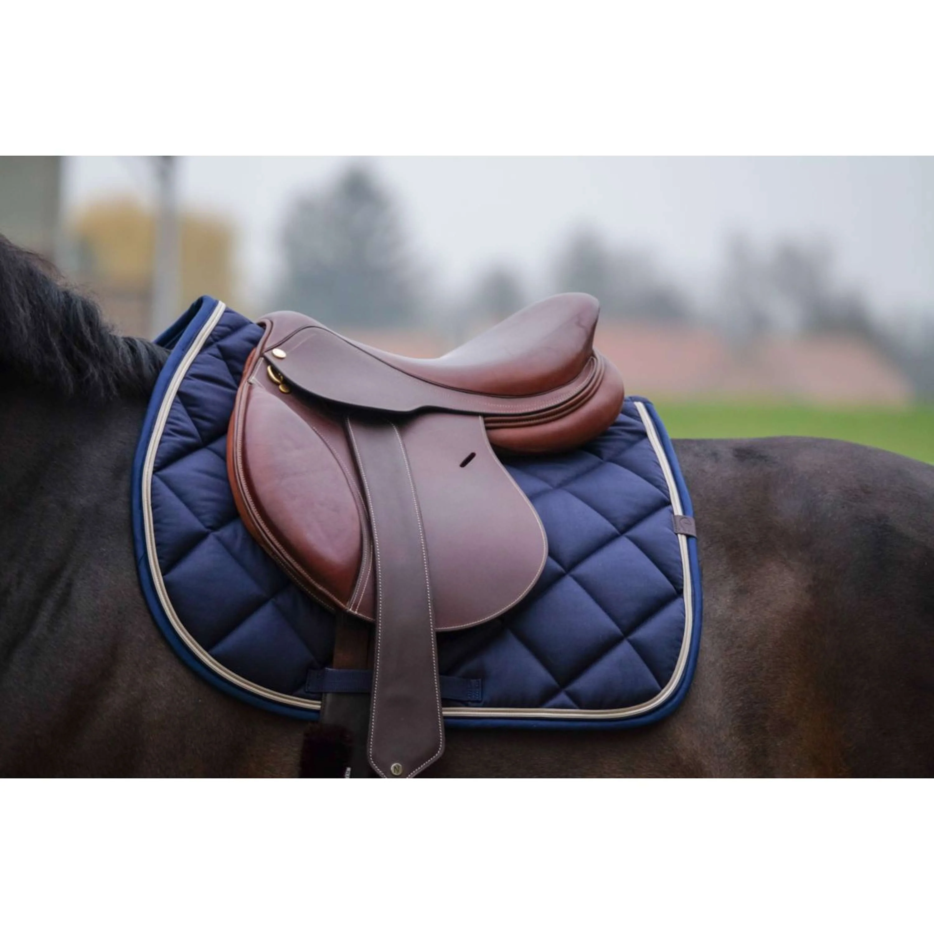 EQUITHÈME Sottosella Classic Saltando Navy - Image 2