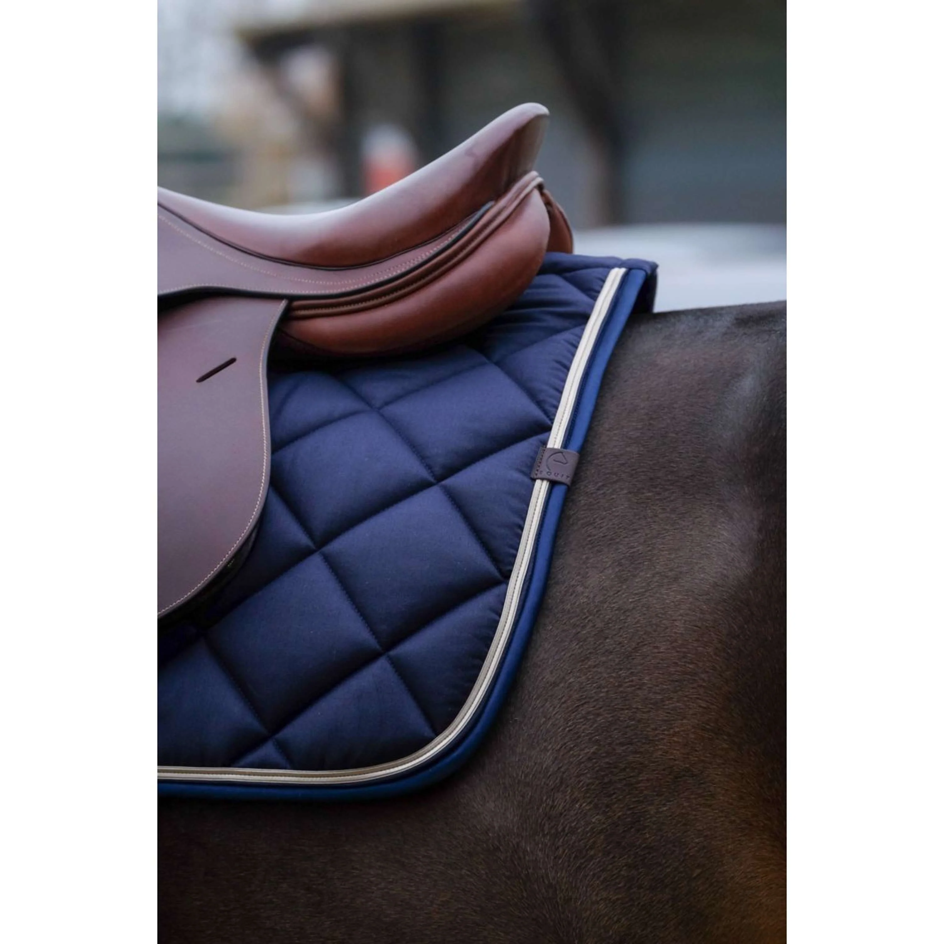 EQUITHÈME Sottosella Classic Saltando Navy - Image 3